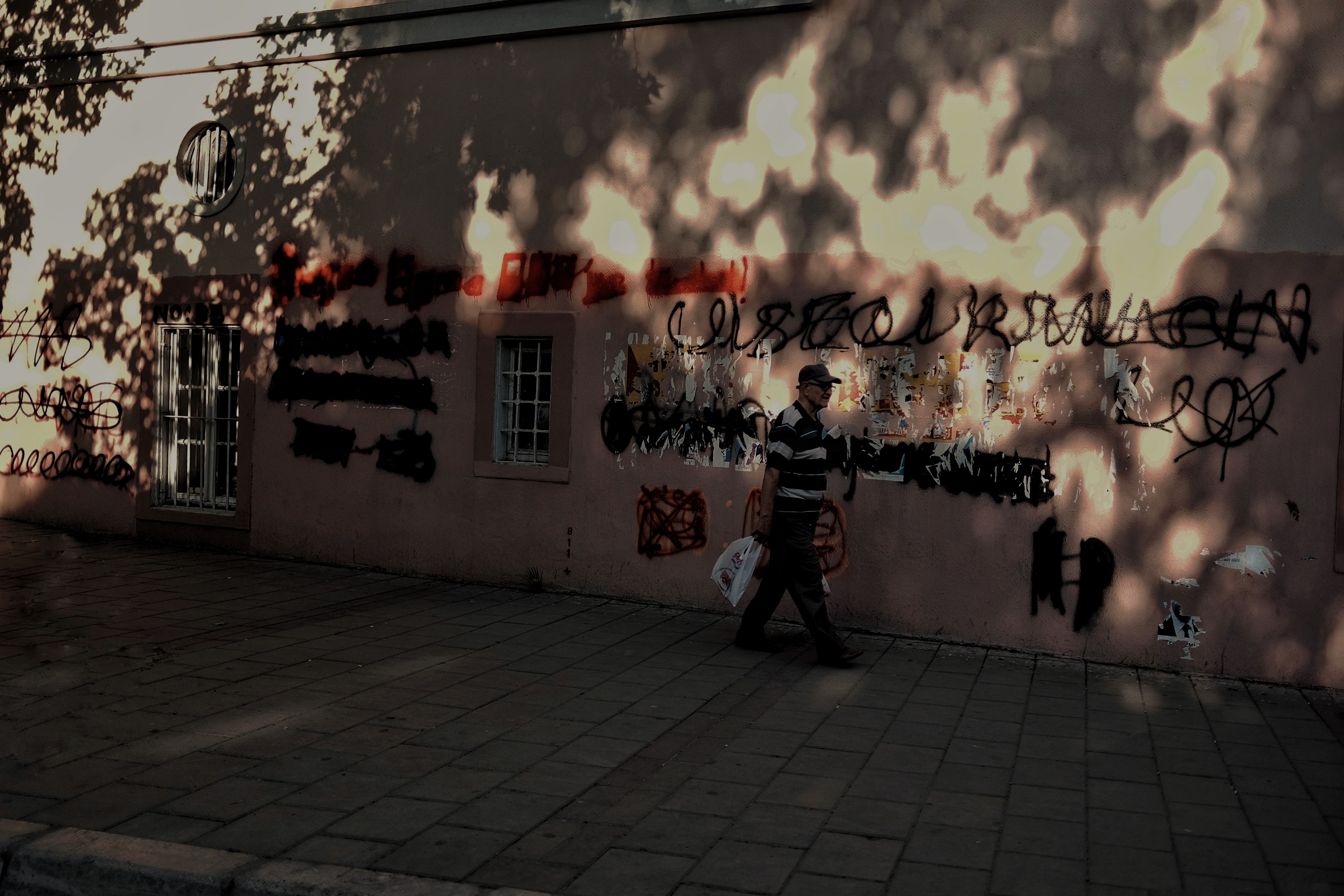 _DSF81620101.jpeg