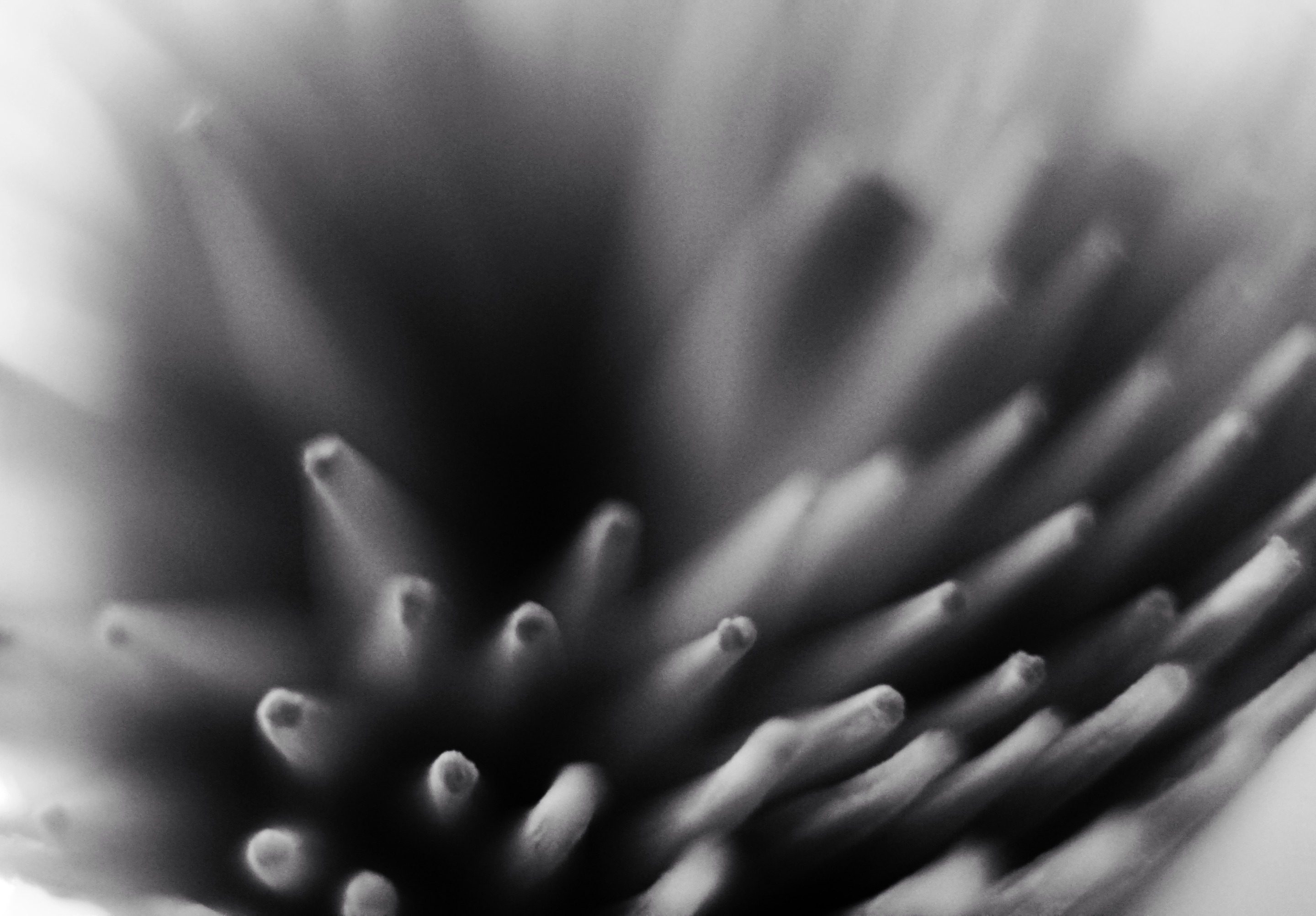 _DSC526401.jpeg