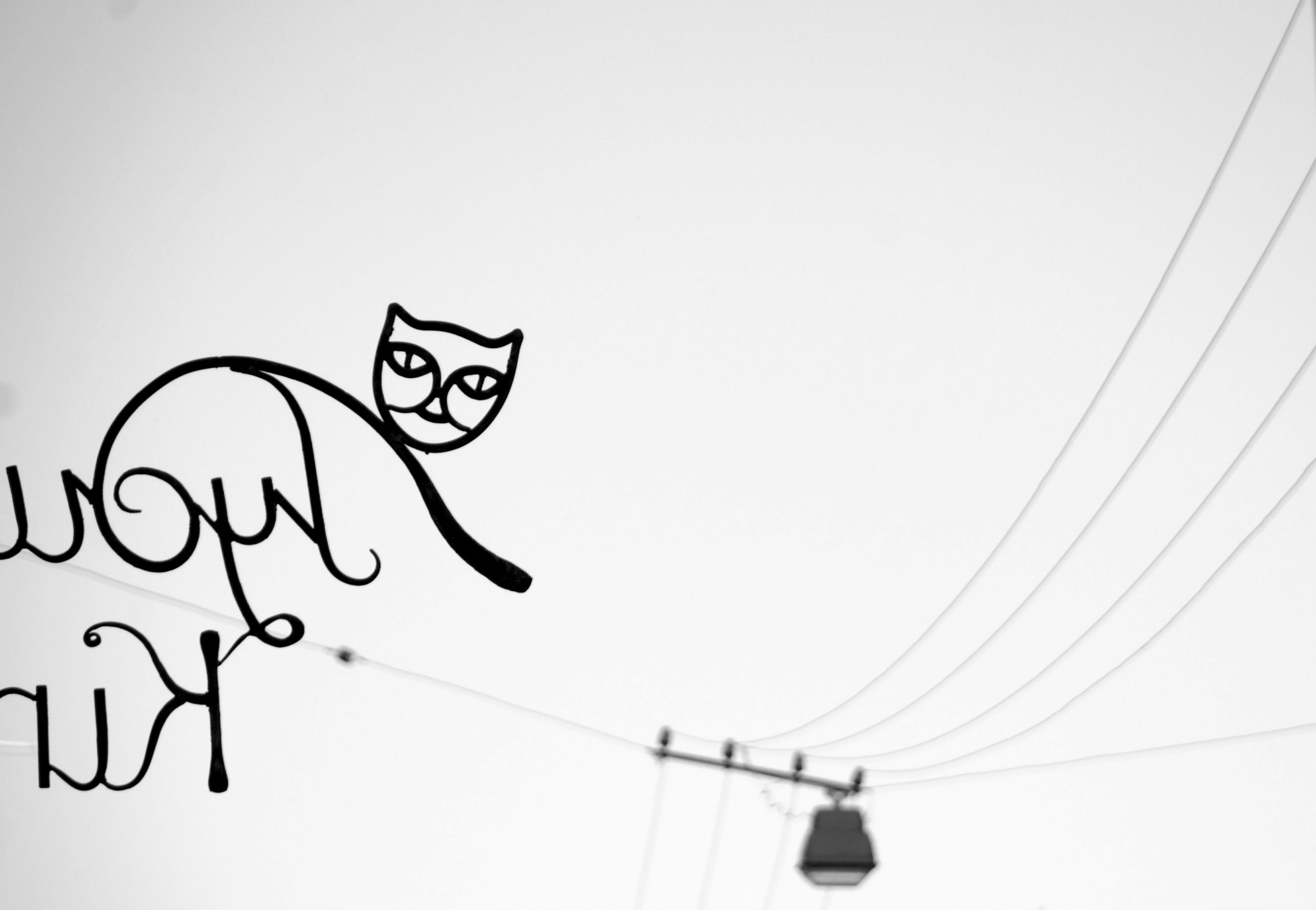 kitty-in-the-sky.JPG