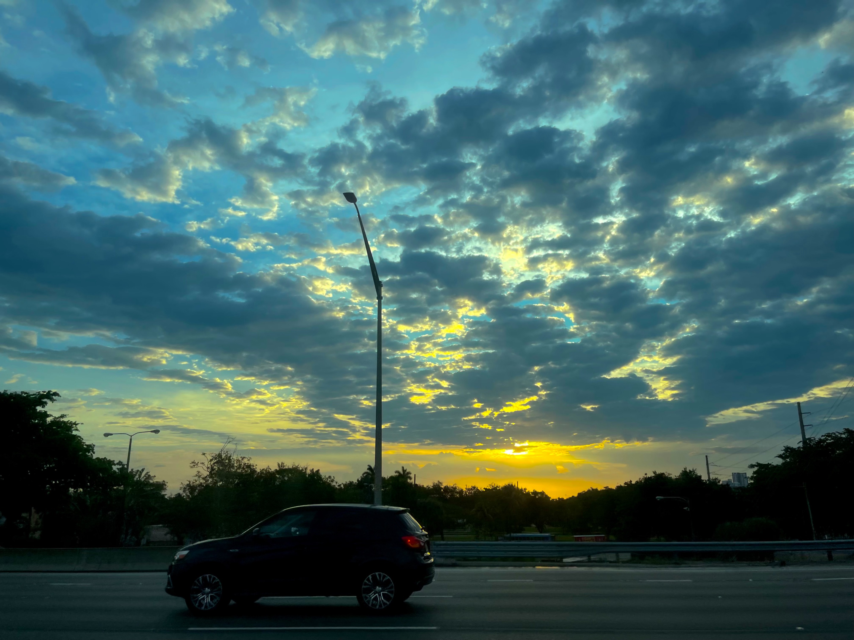 IMG_4137.jpeg