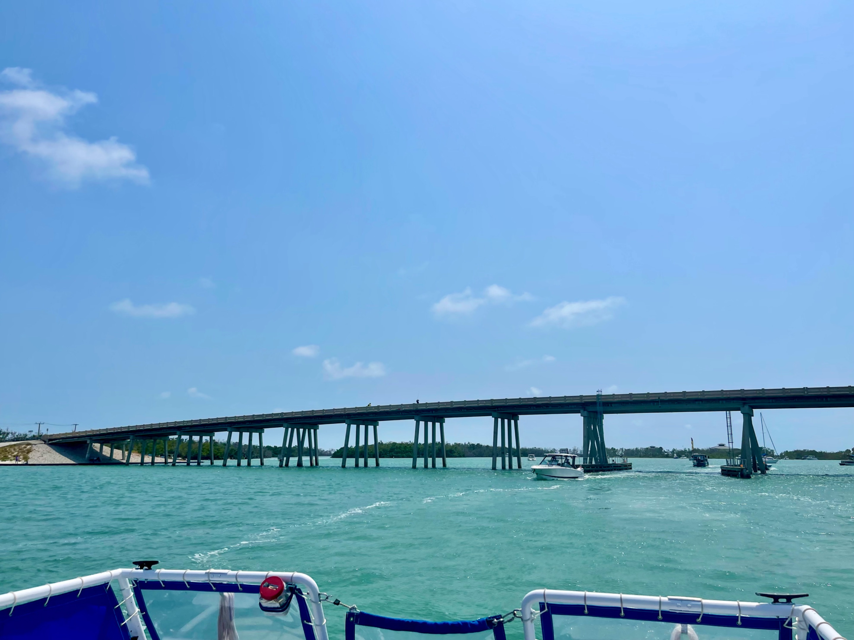 IMG_8153.jpeg