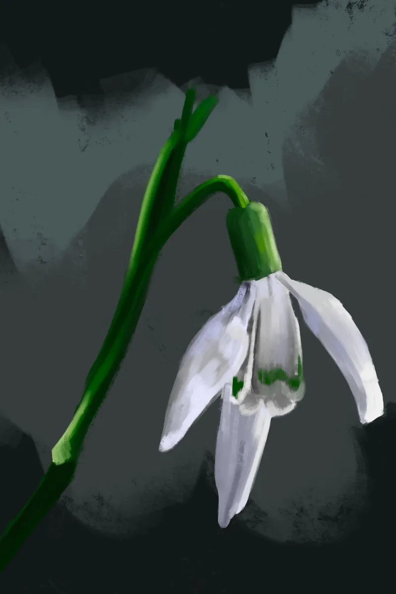 $1