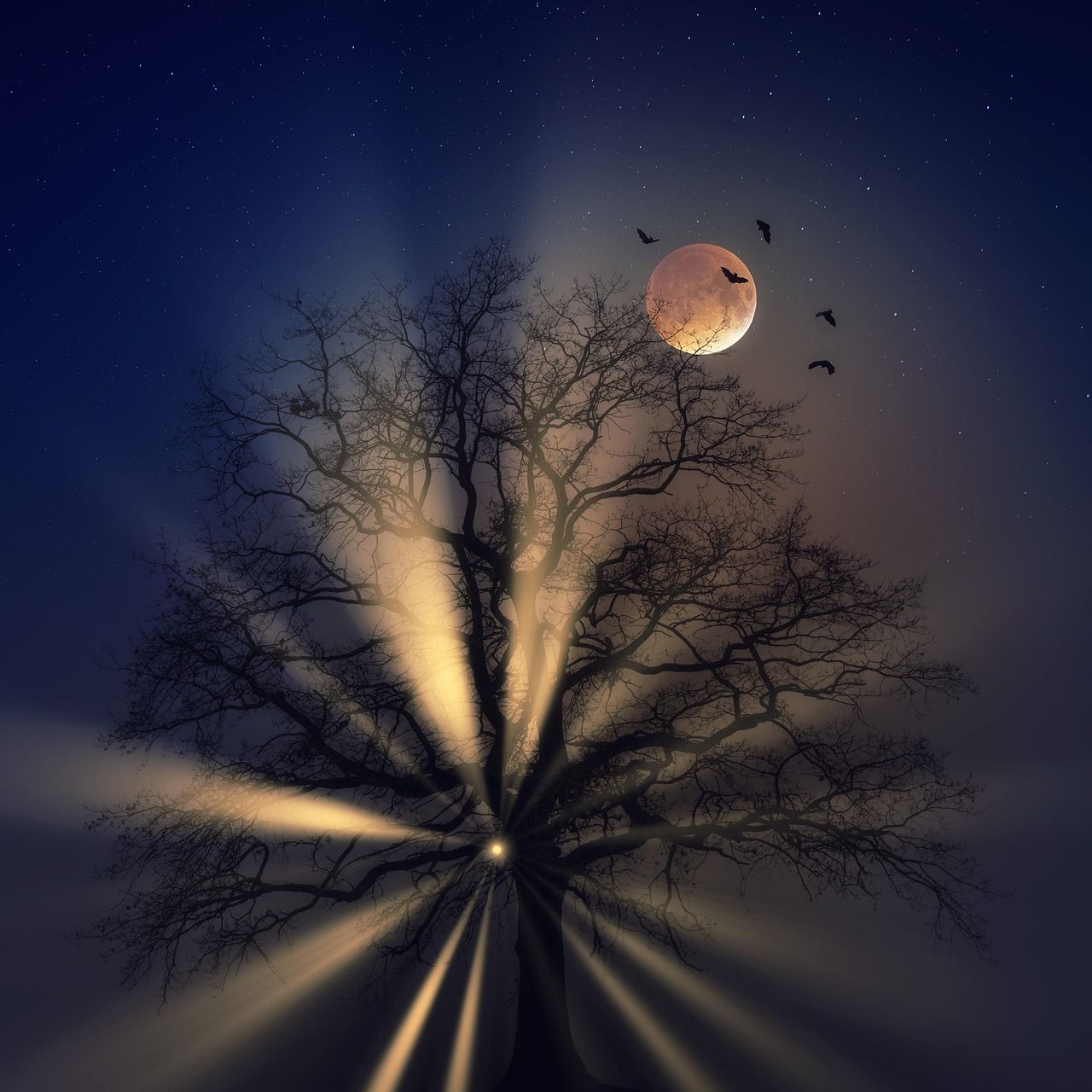 tree-5697291_1280.jpg