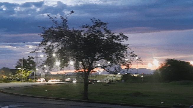 1001426616.gif