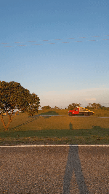 1001432390.gif
