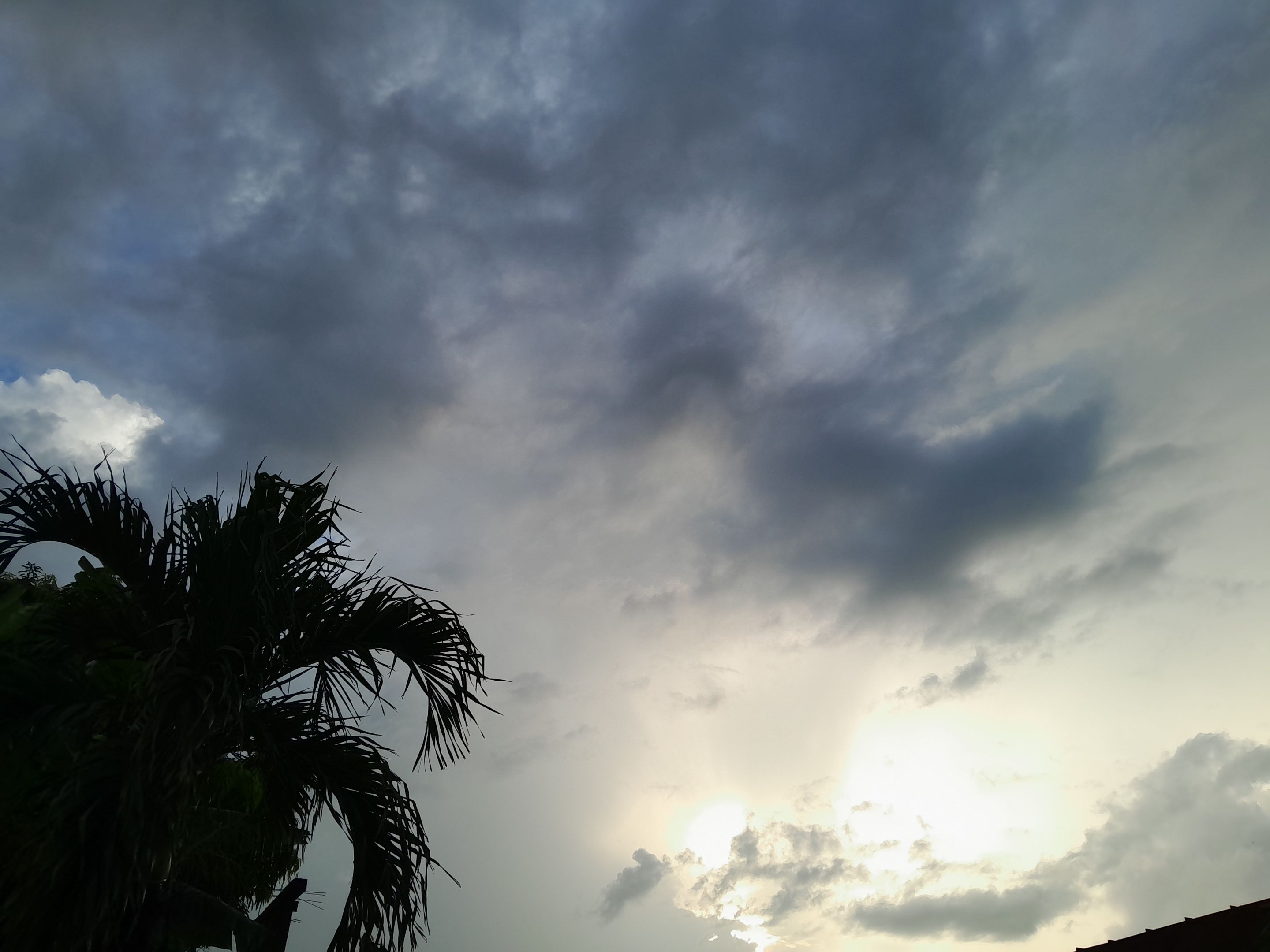 20240903_174239.jpg