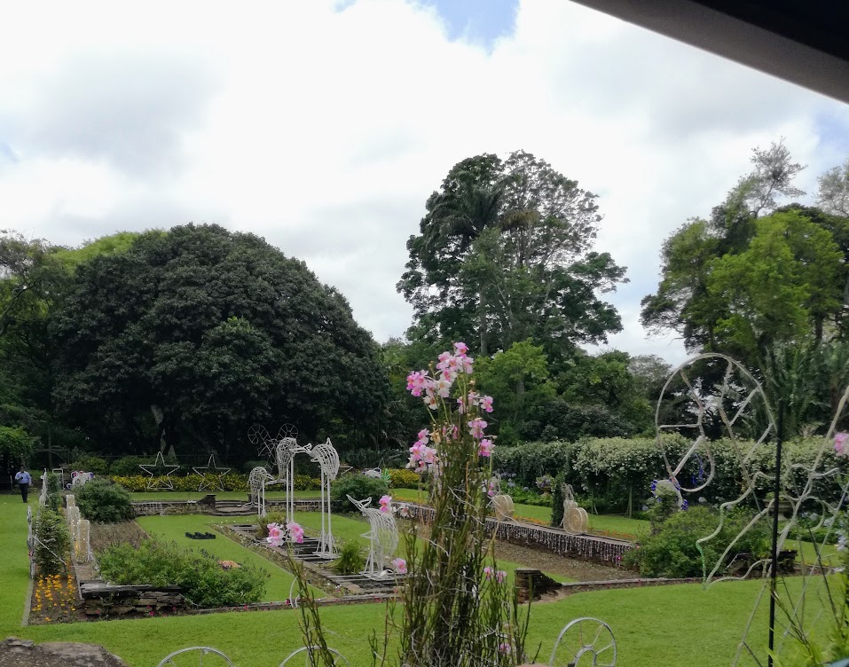 sunken garden.jpg