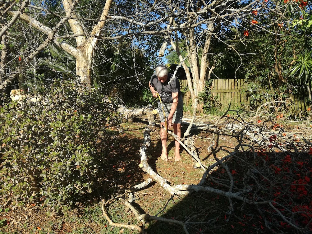 tree trimming.jpg