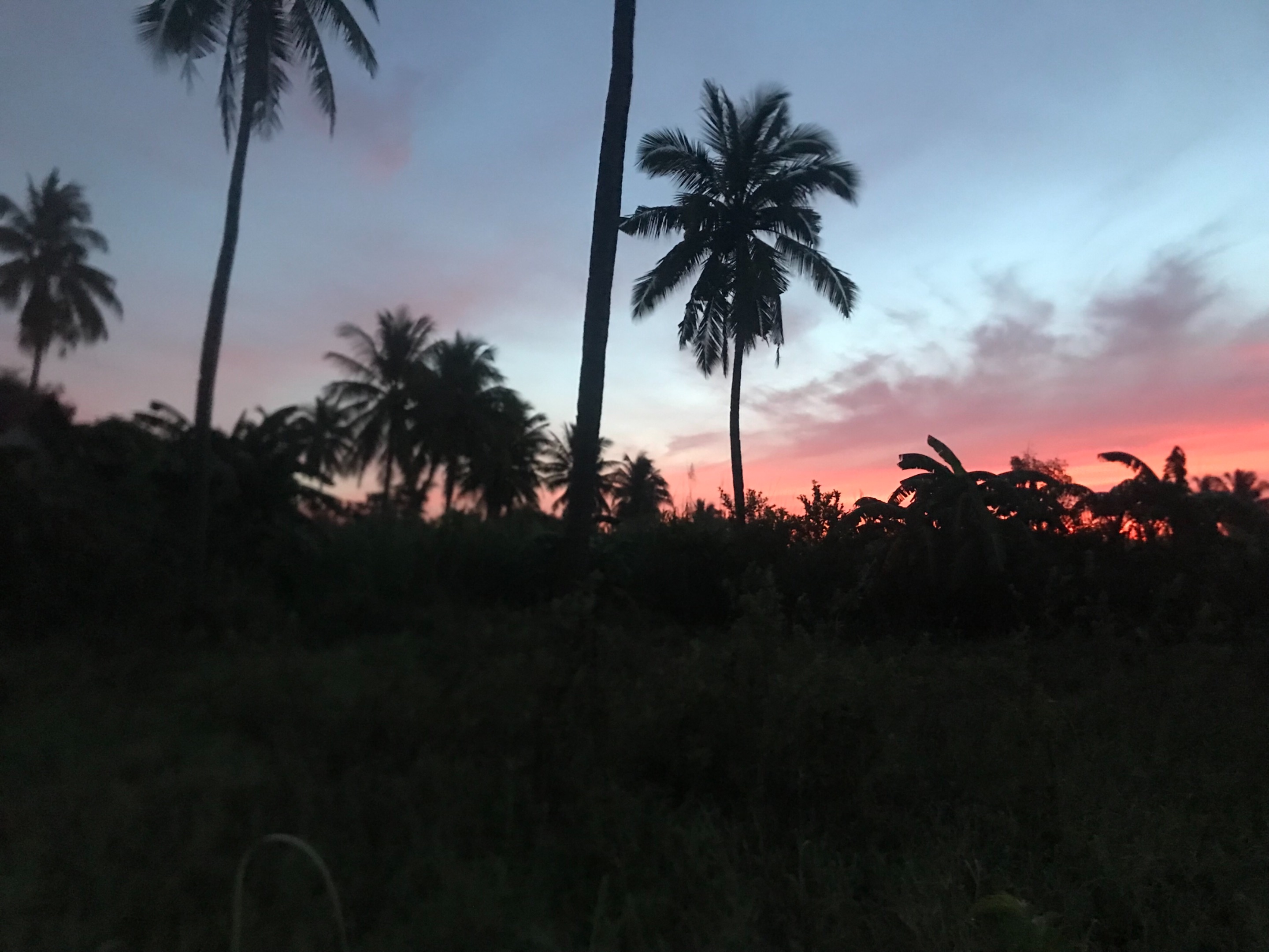 66CFE657-A333-48B6-9DBE-C0B972FD276F.jpeg
