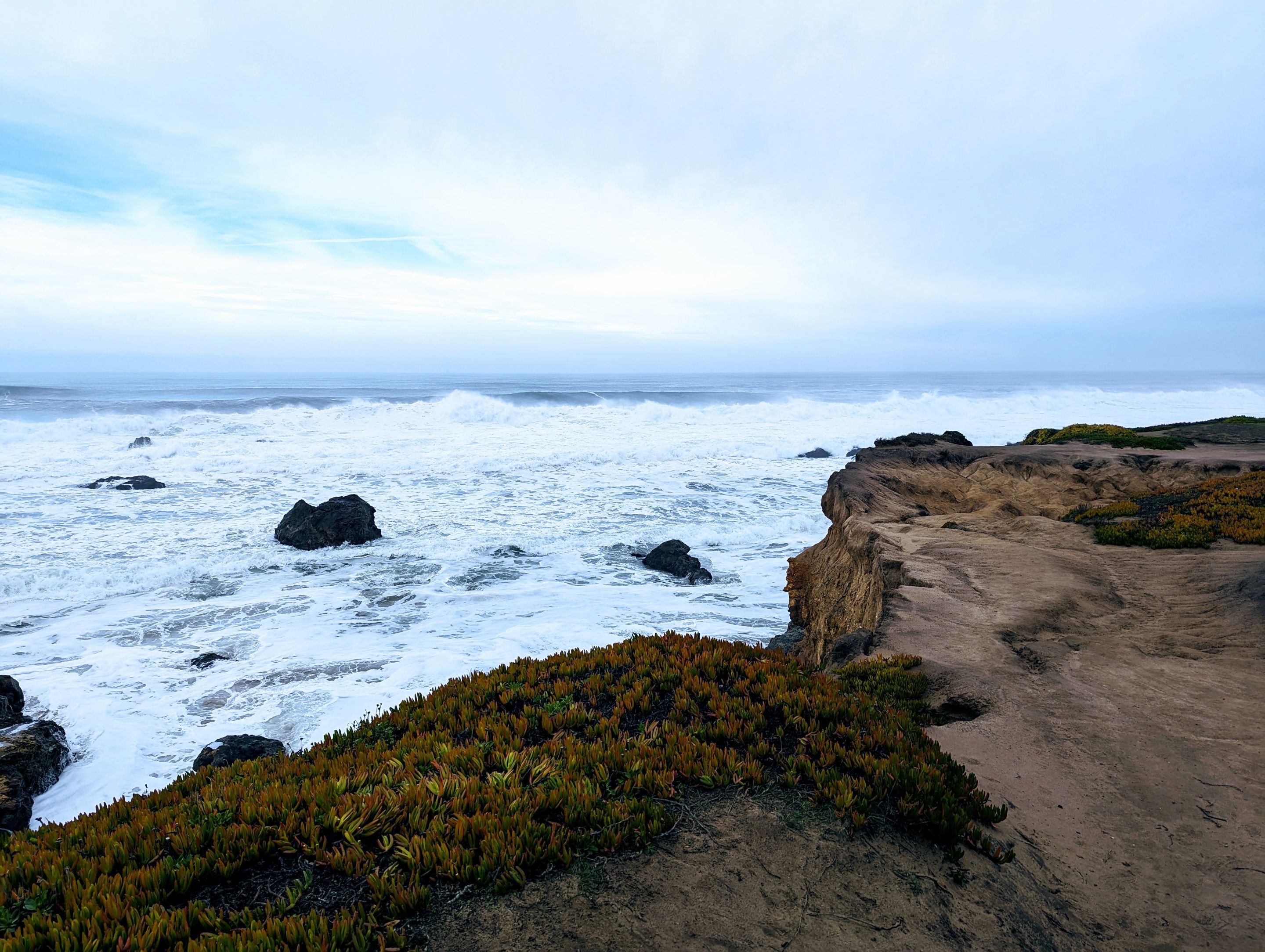 halfmoon_bay_shore.jpg