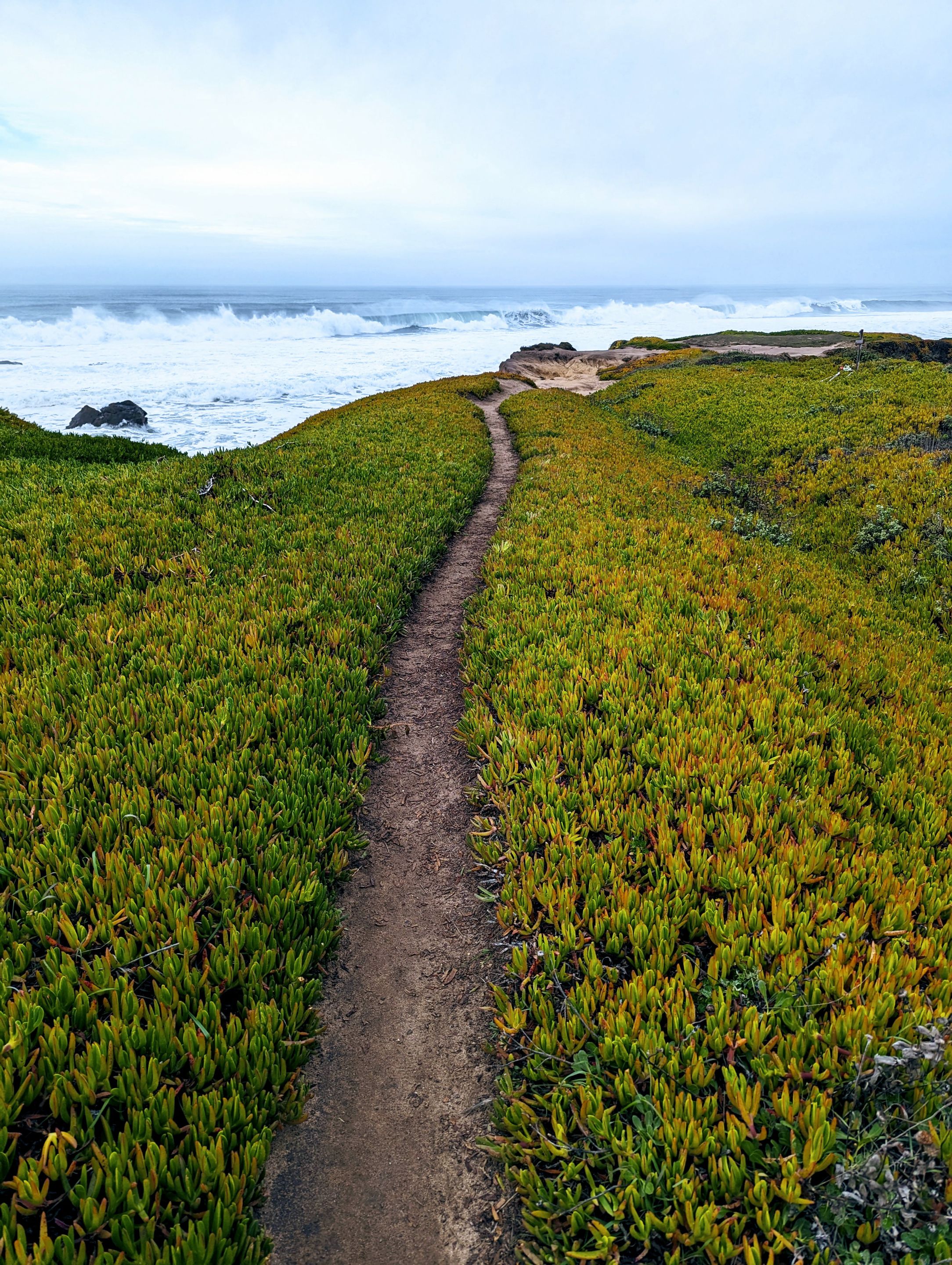 halfmoon_bay_path.jpg