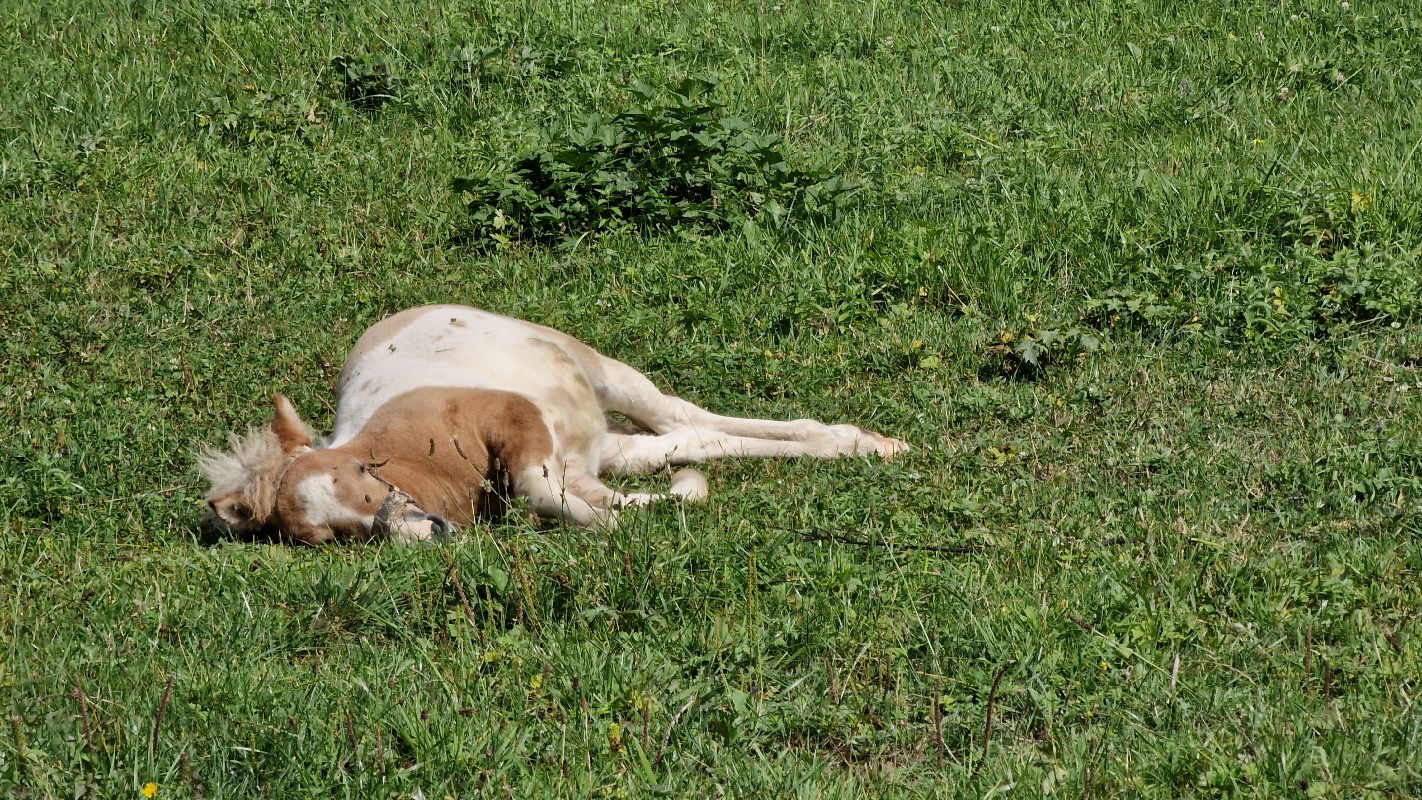 20220818_105908.jpg