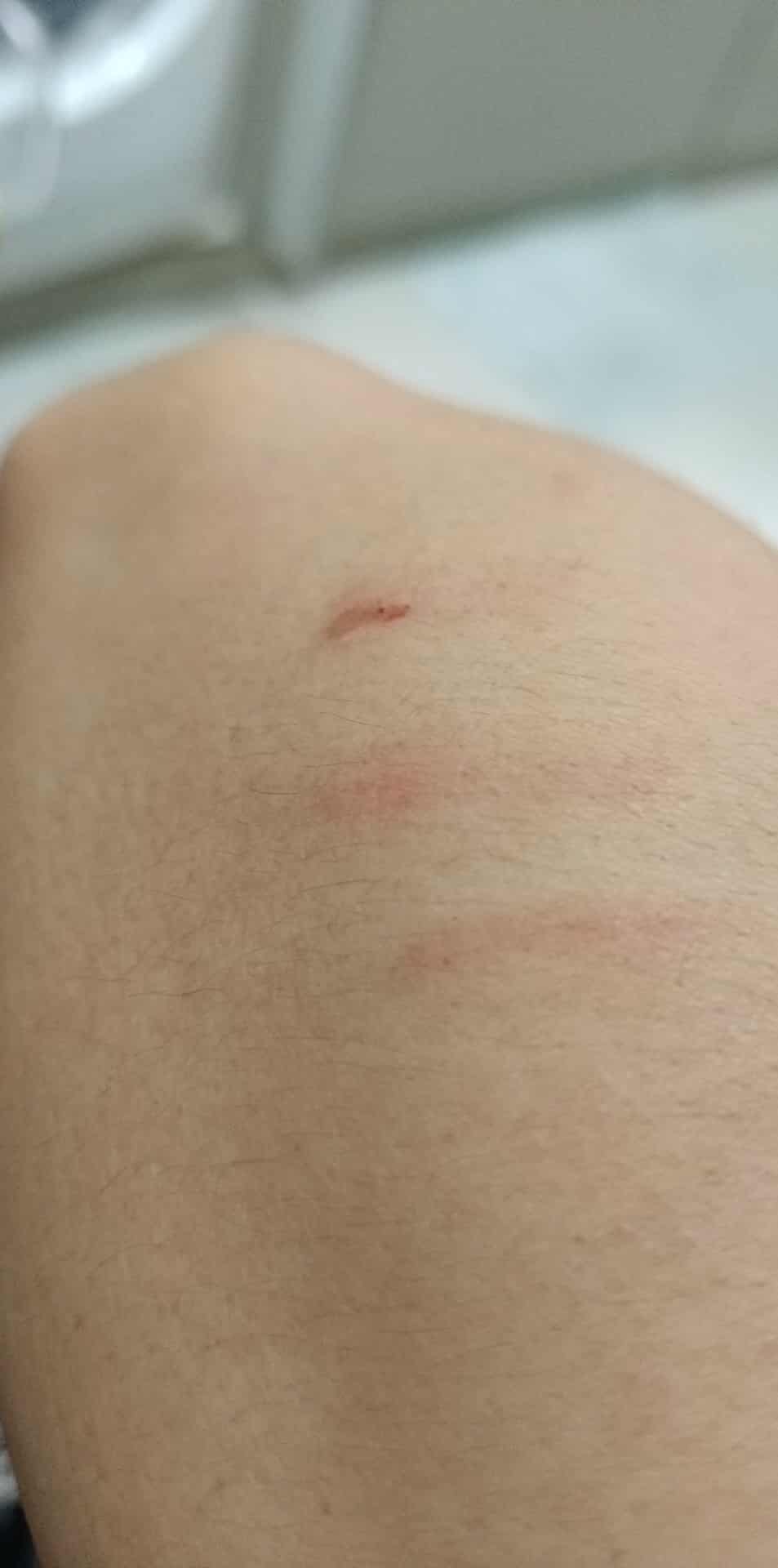 received_1023042019798376.jpeg