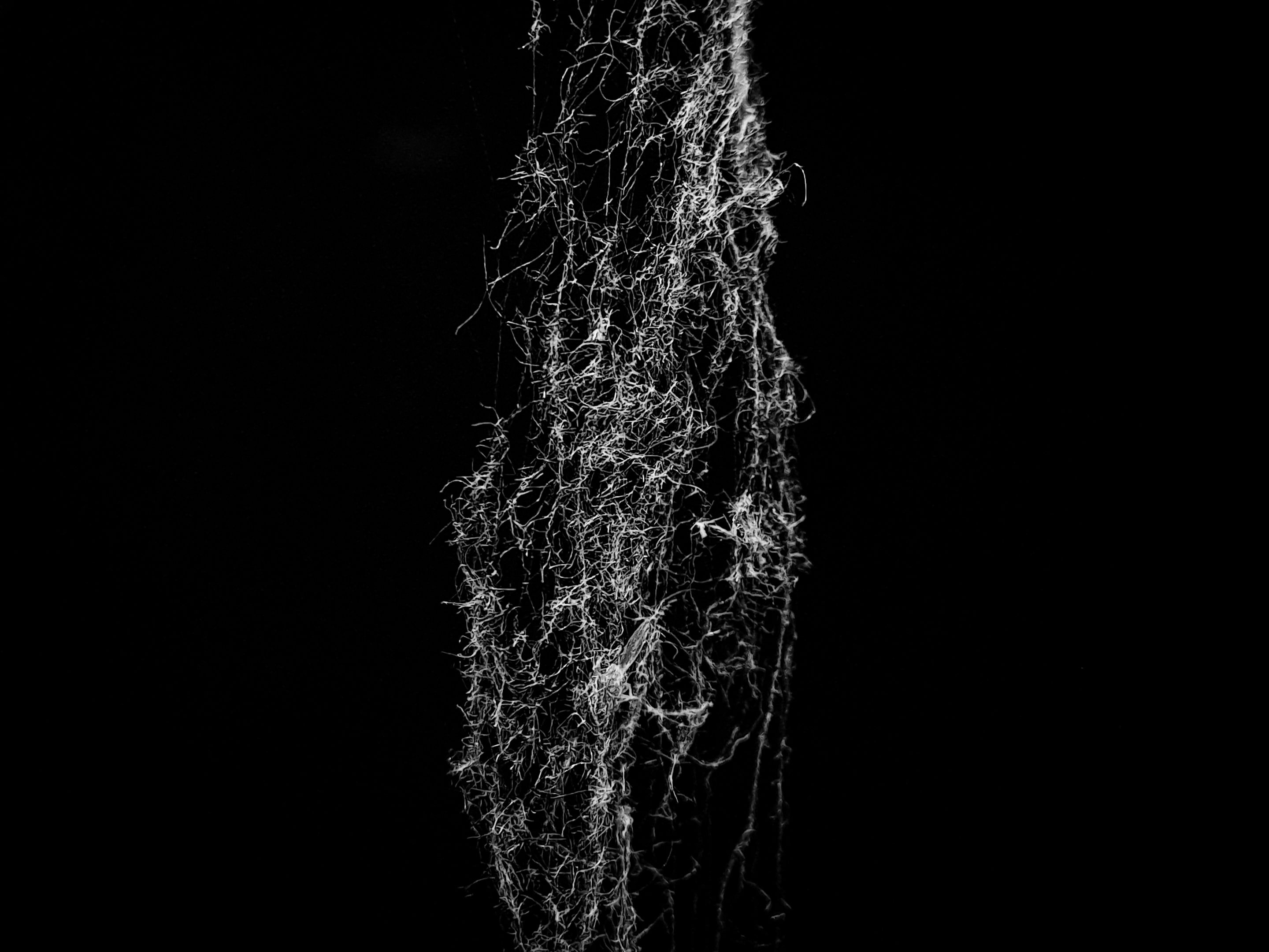 1000549508.jpg