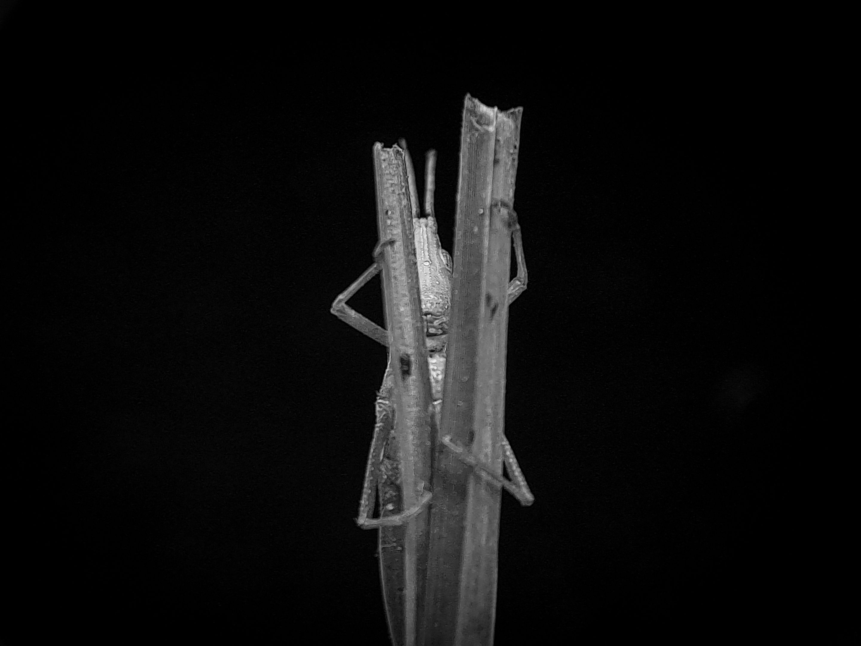 1000580221.jpg