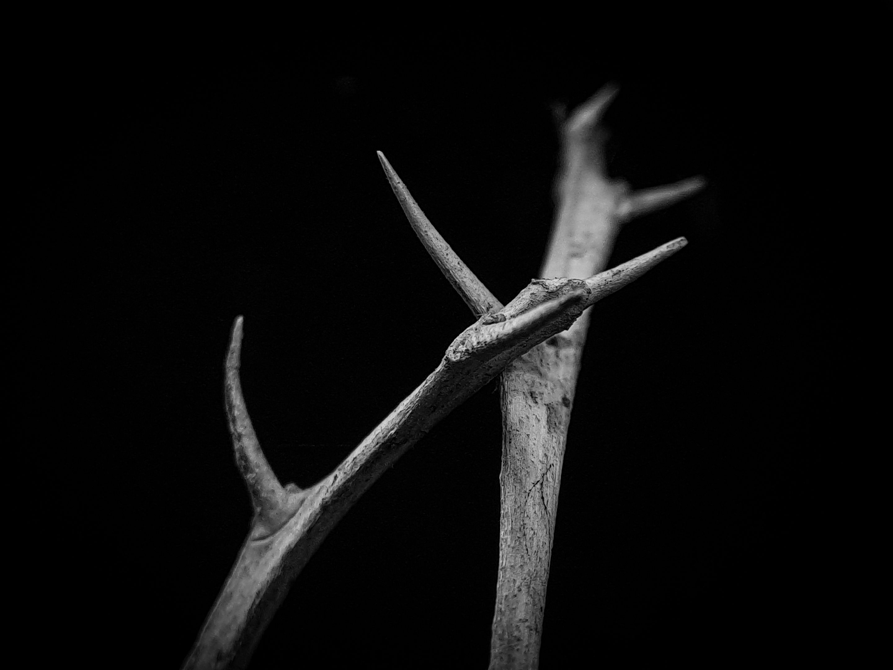 1000607517.jpg