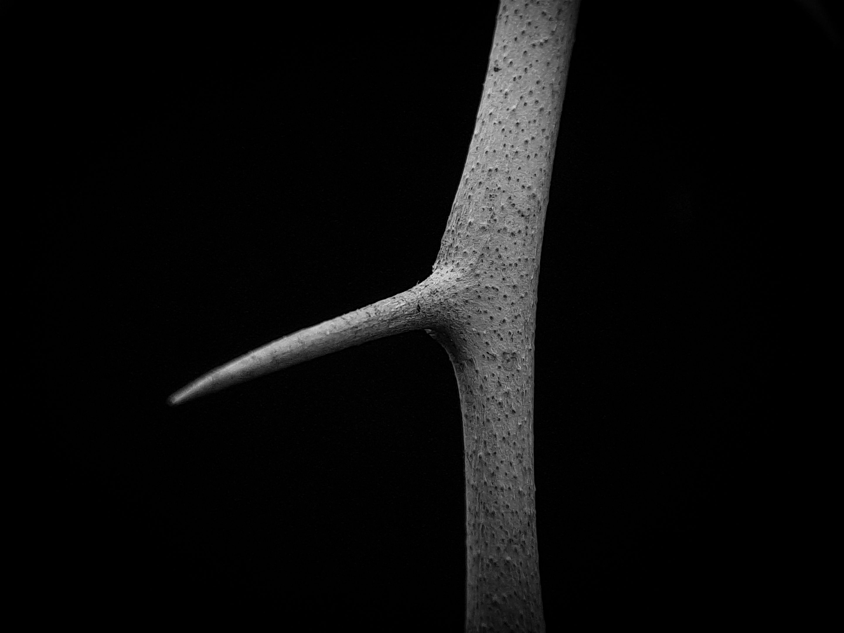 1000607522.jpg