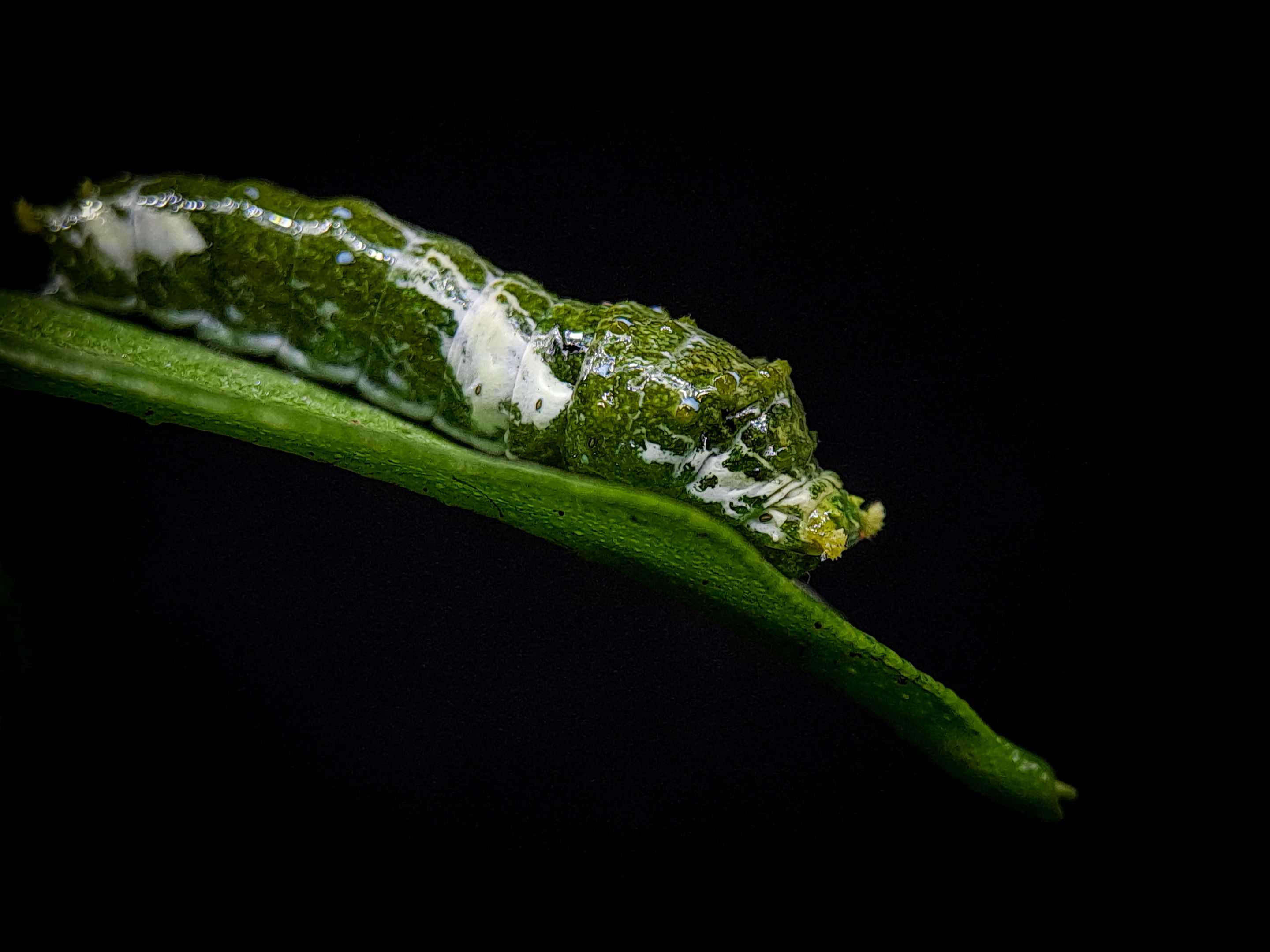 1000580980.jpg