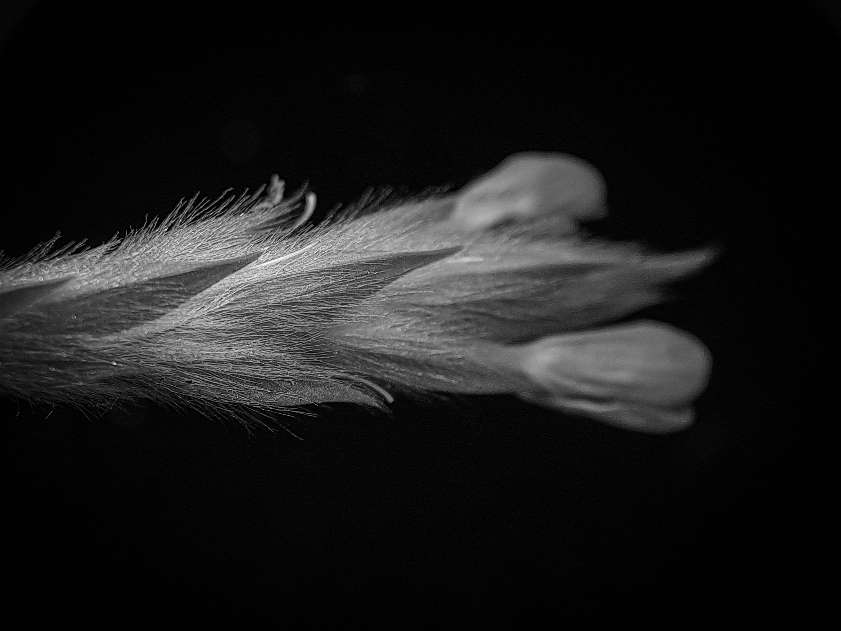 1000606821.jpg