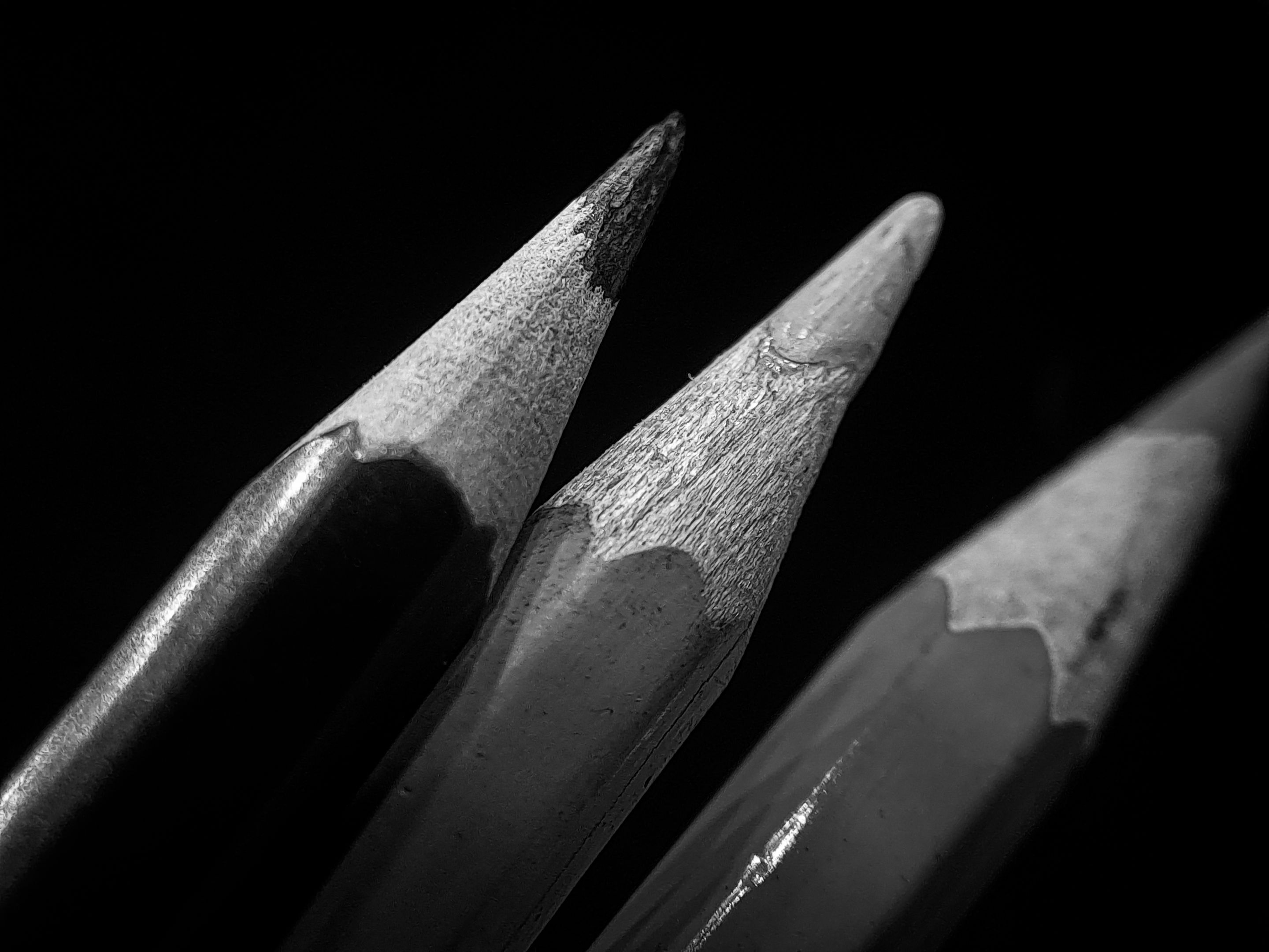 1000564909.jpg