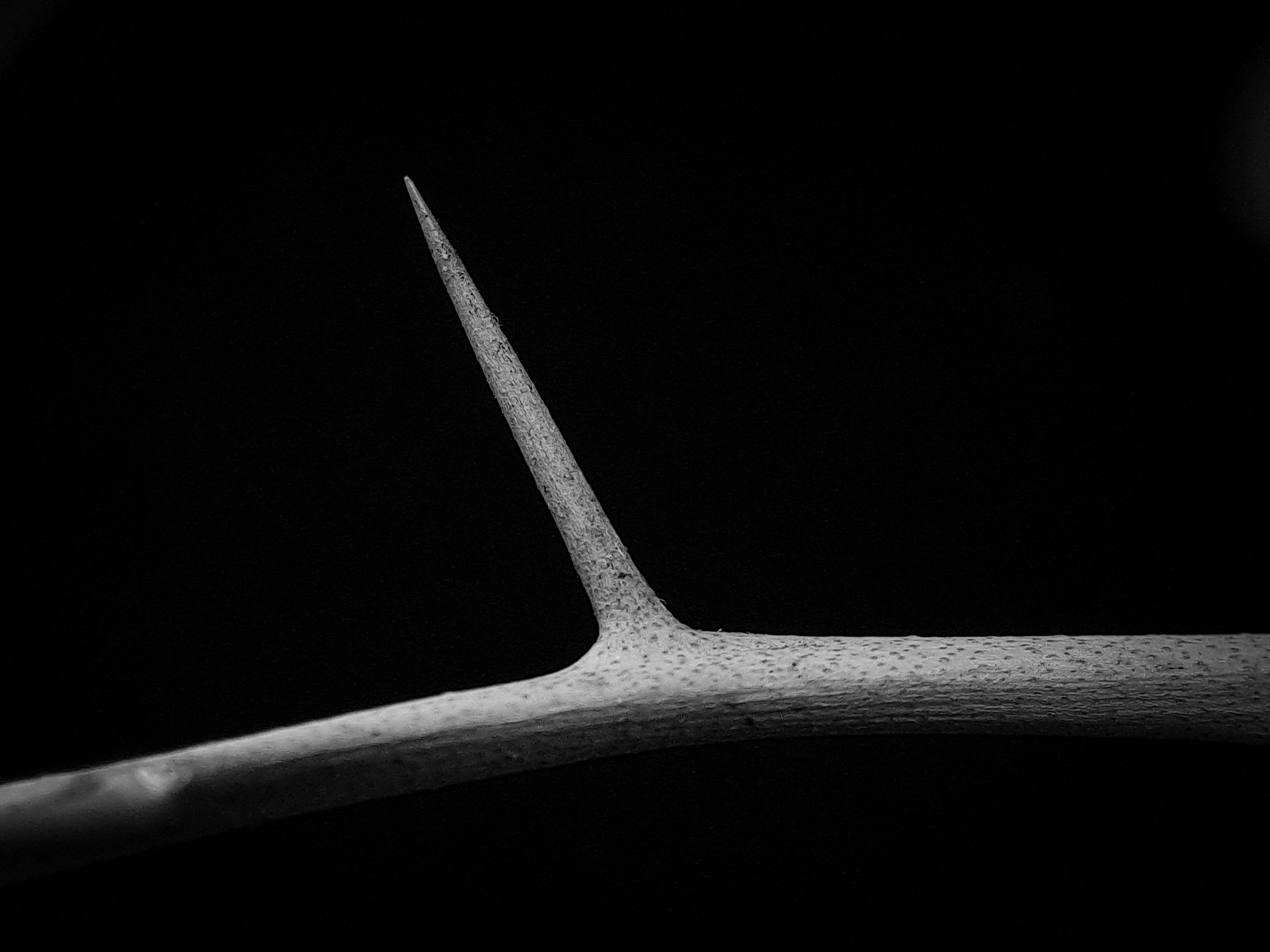 1000607516.jpg
