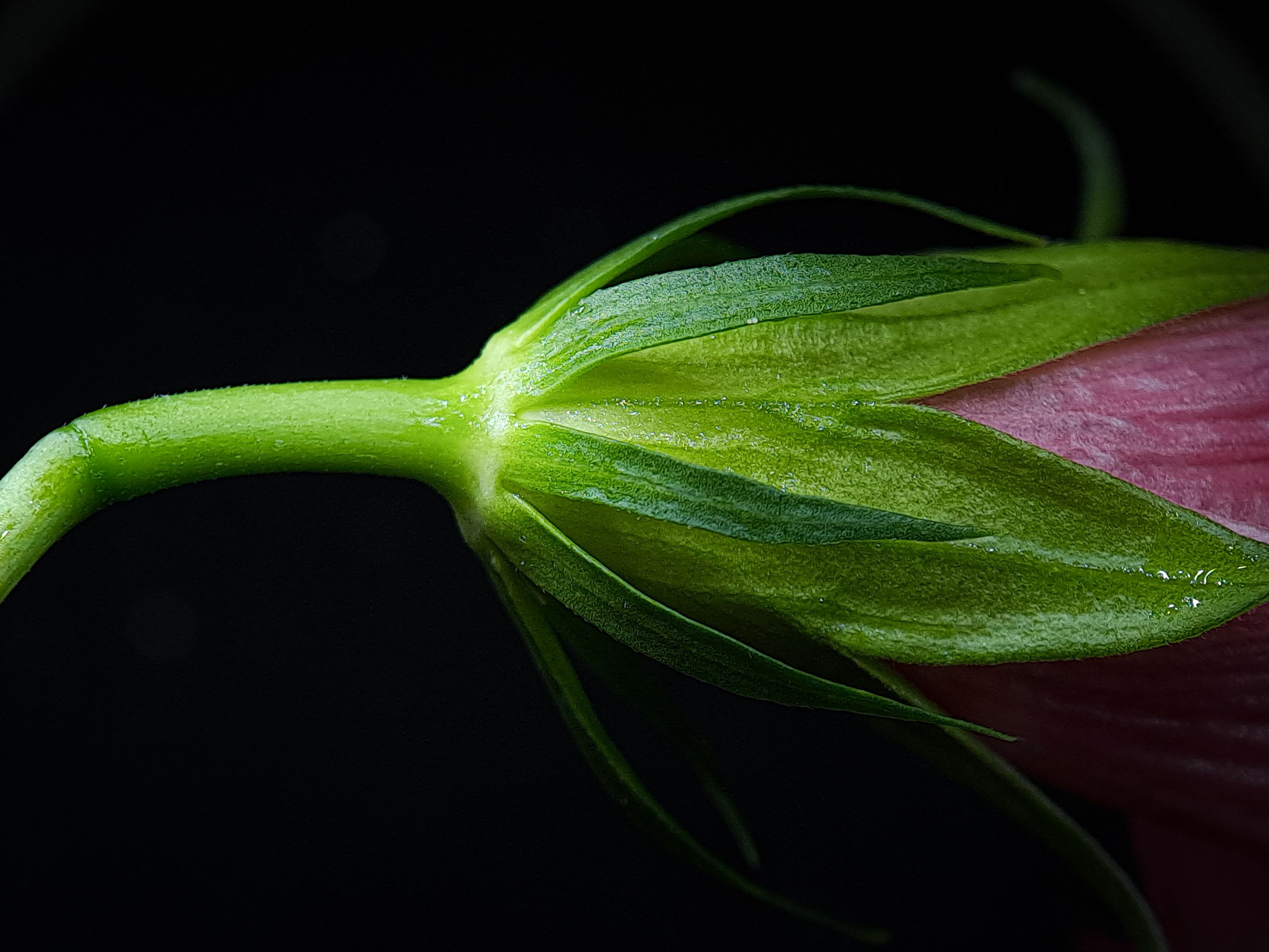 Photography Lovers: spring has arrived