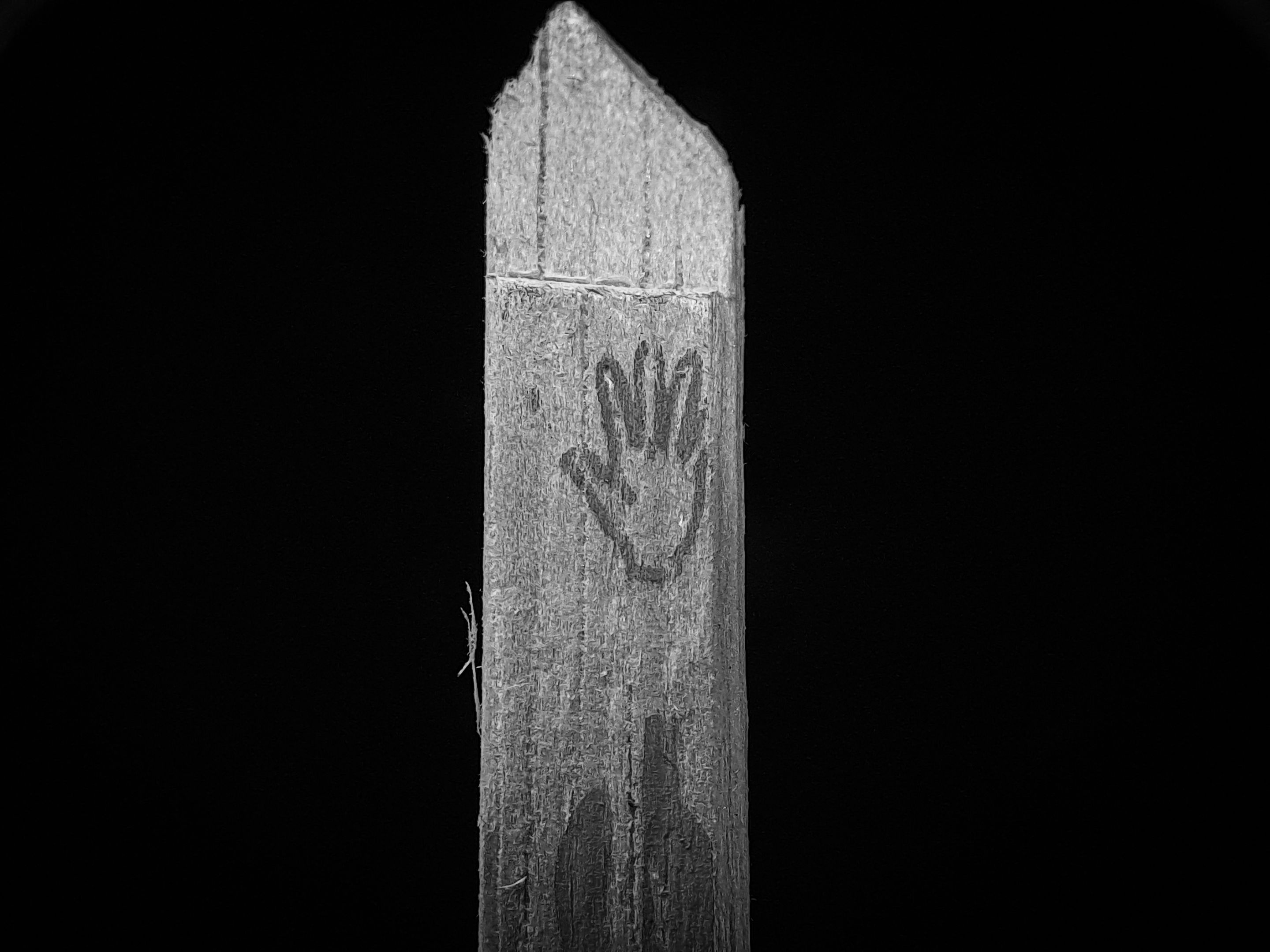 1000654455.jpg