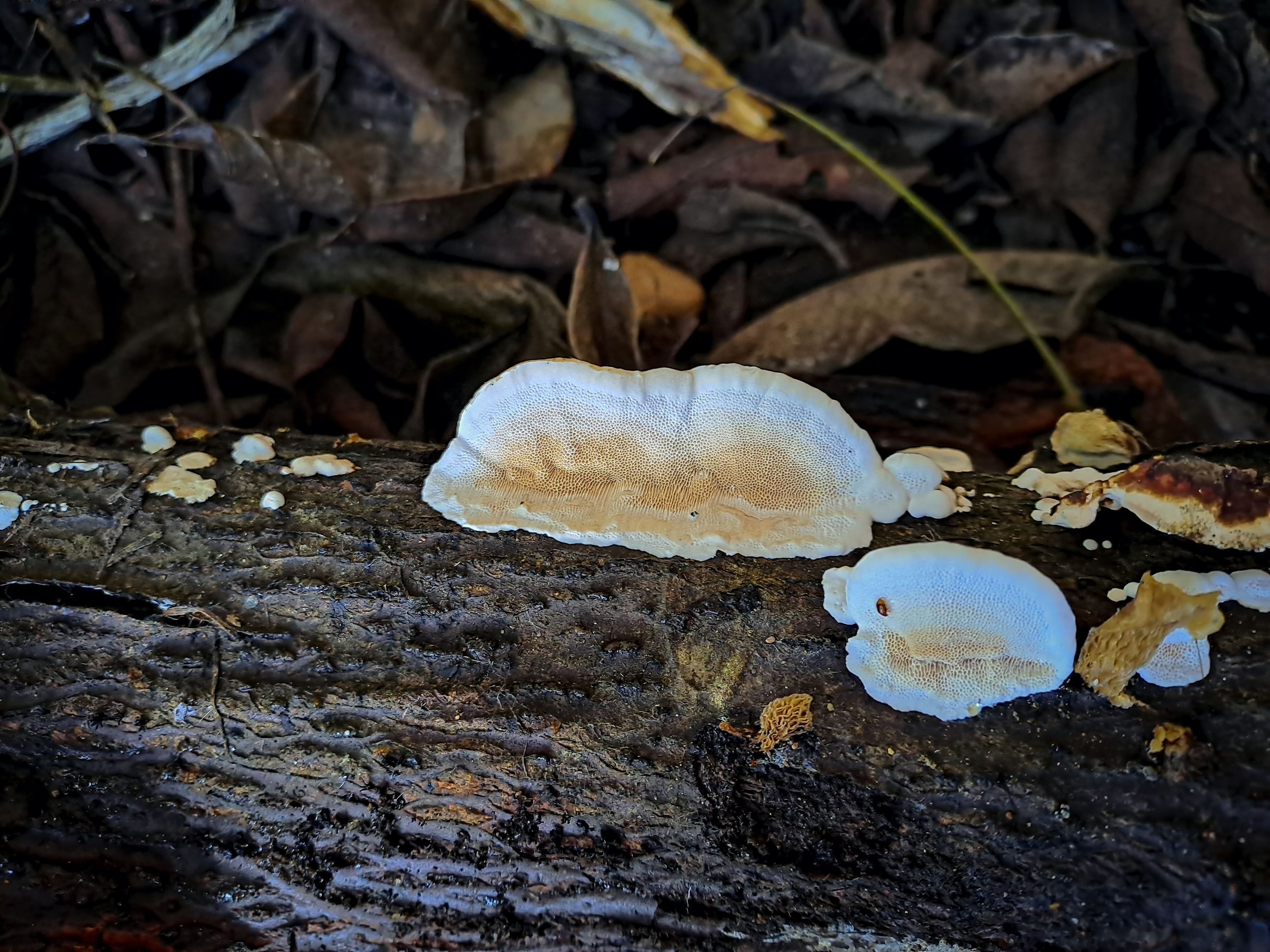 20230106_081645.jpg