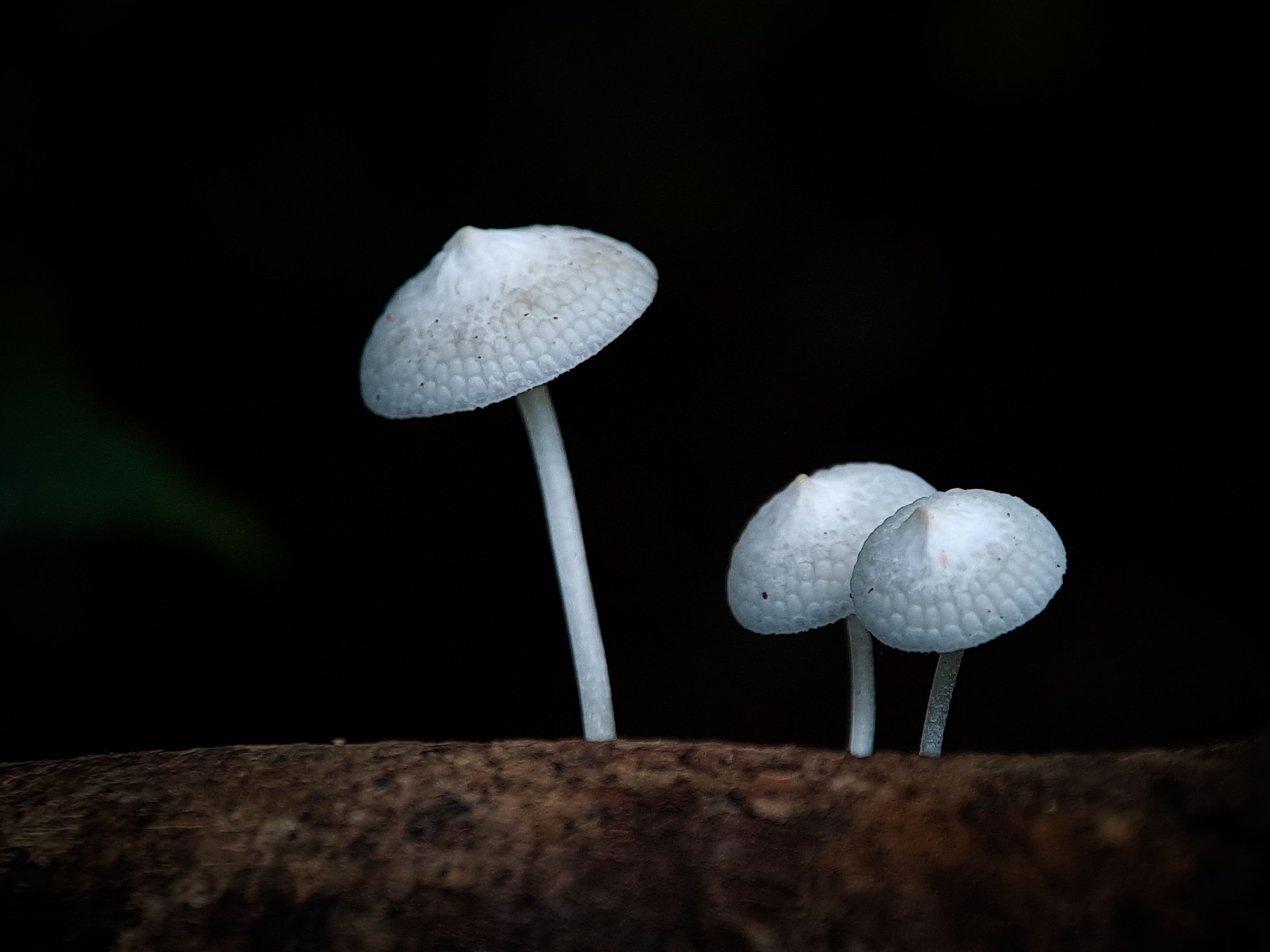 20231119_125544.jpg