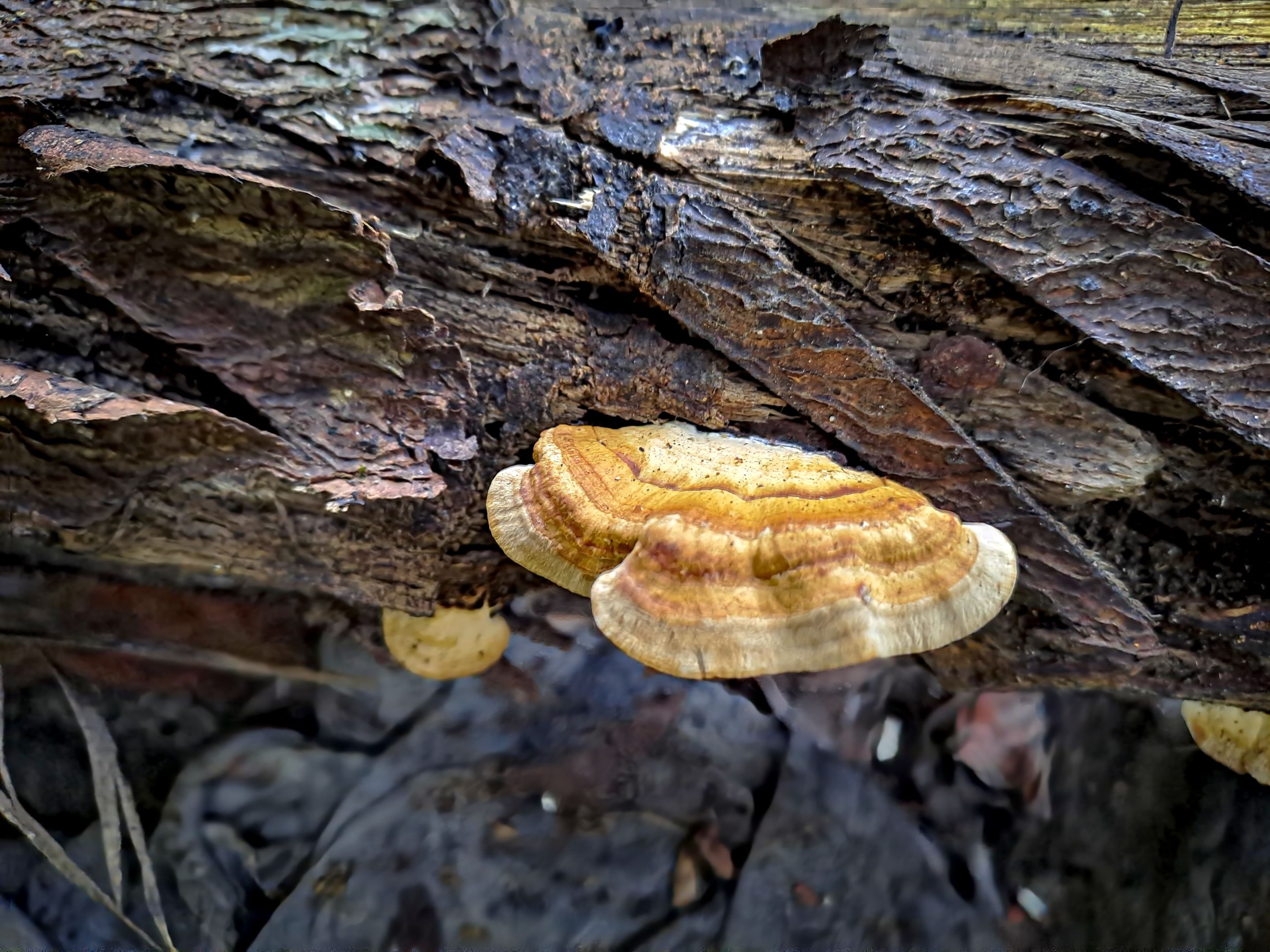 20230106_081500.jpg