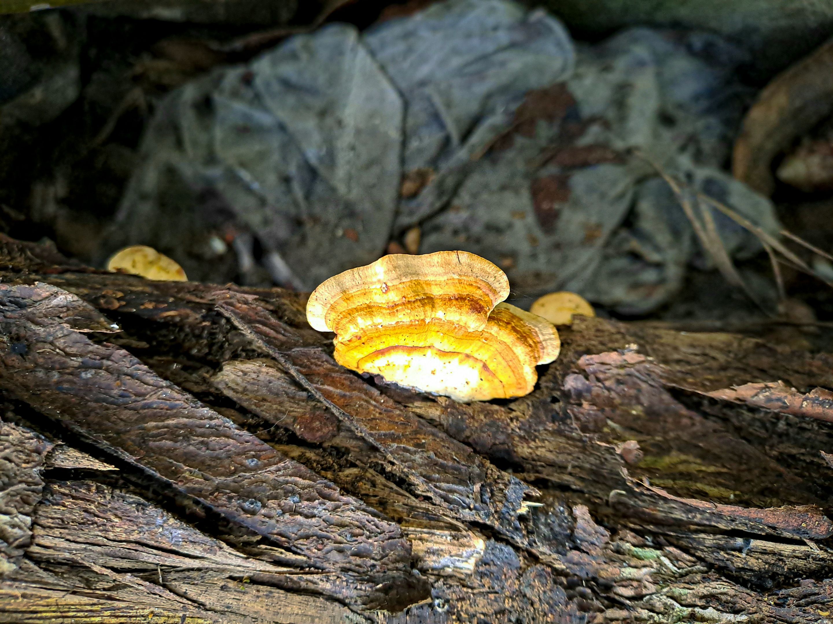 20230106_081426.jpg