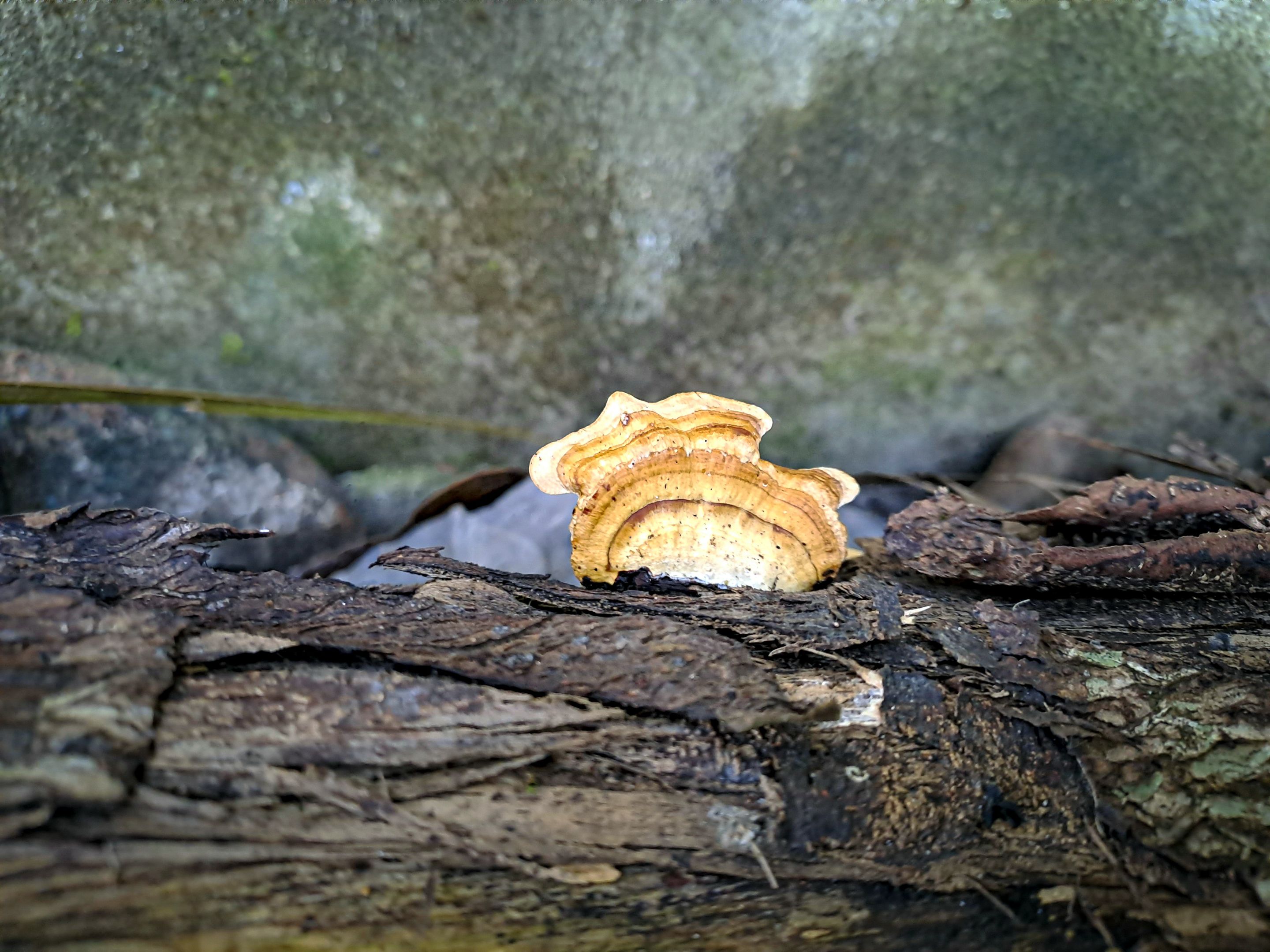 20230106_081348.jpg