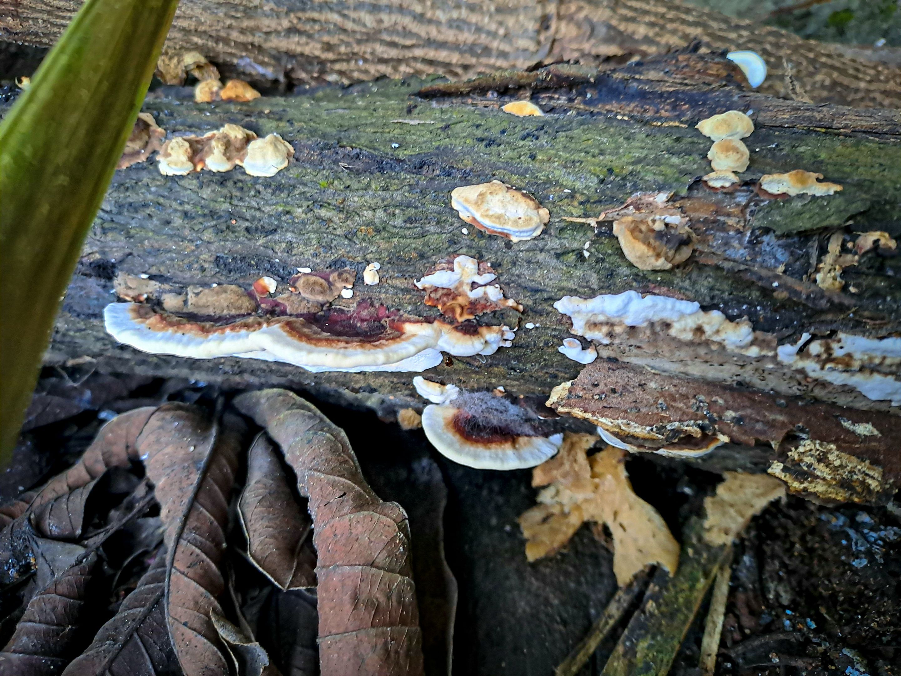 20230106_081514.jpg