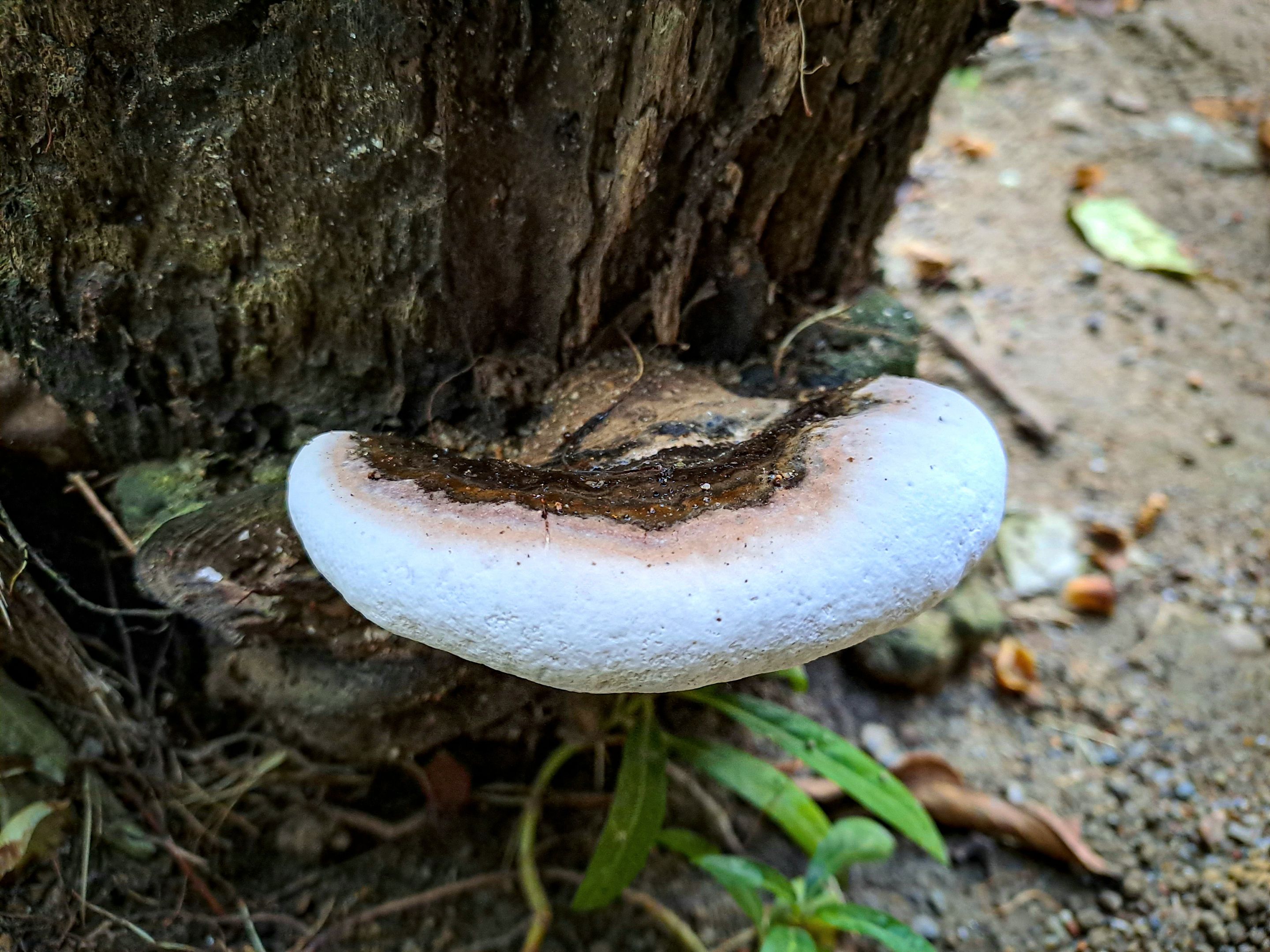 20230106_082159.jpg