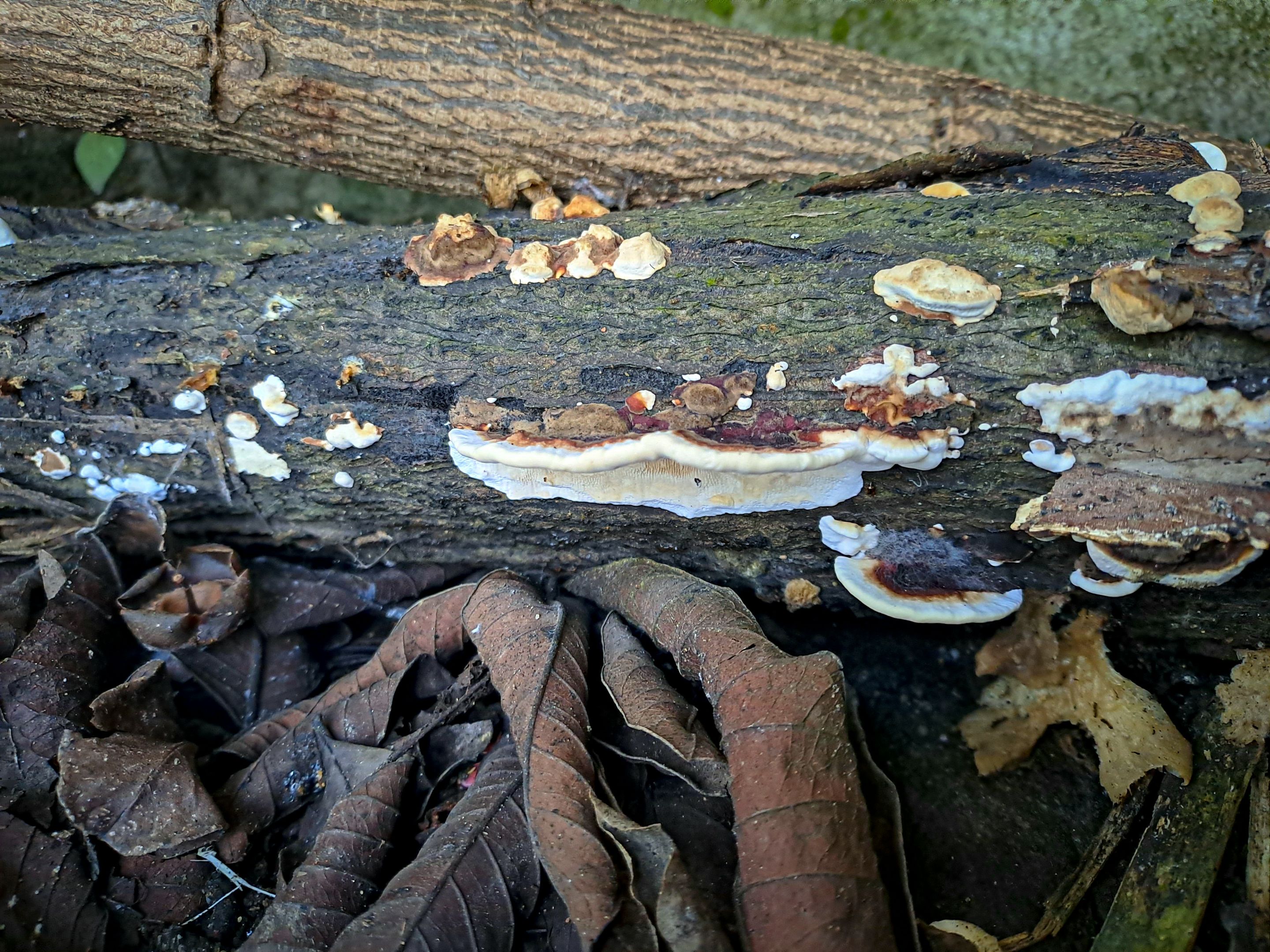 20230106_081531.jpg