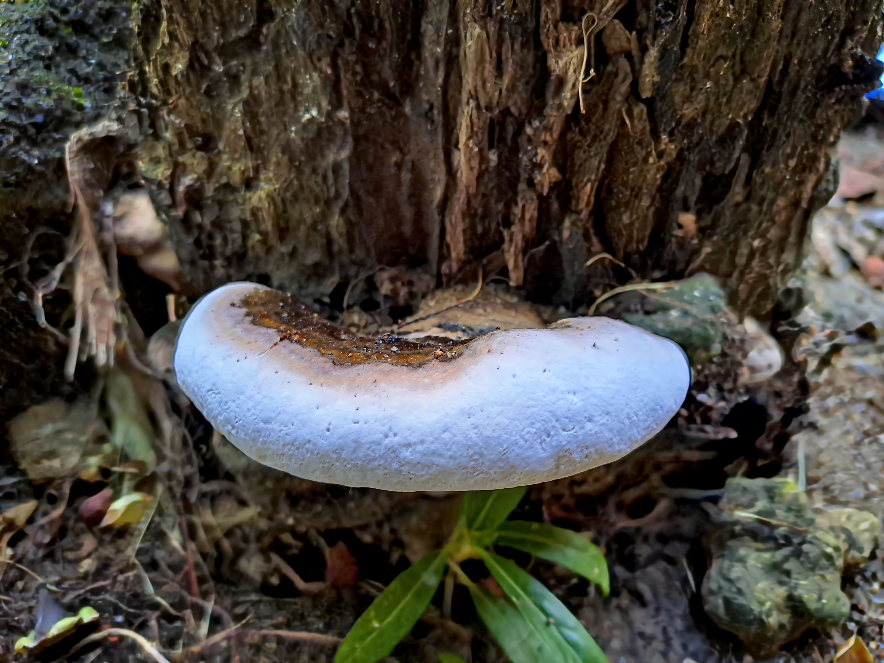 20230106_082100.jpg