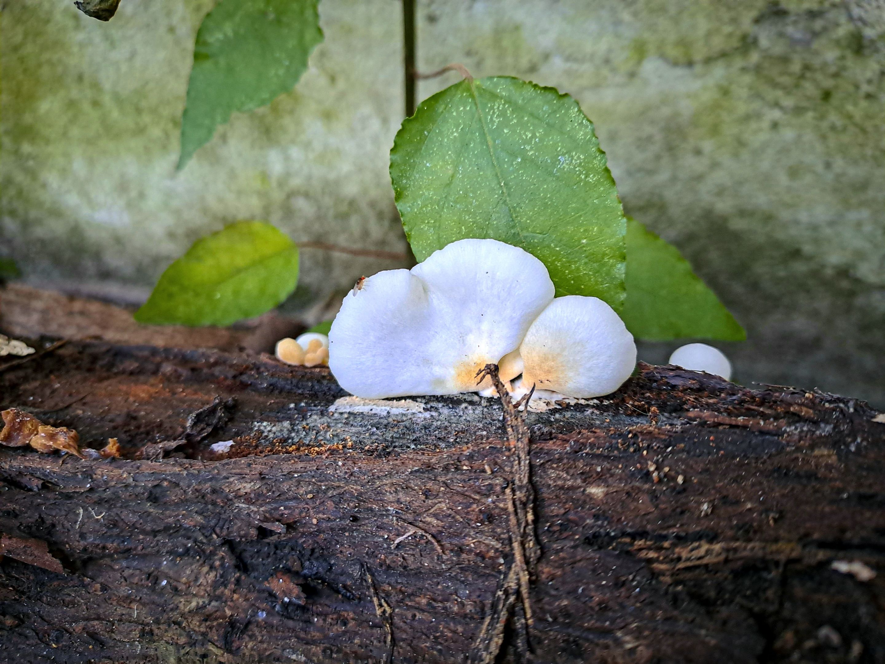 20230106_081550.jpg
