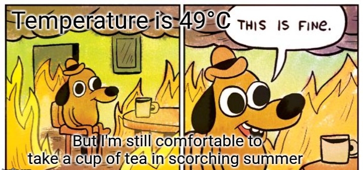 1000316223.jpg