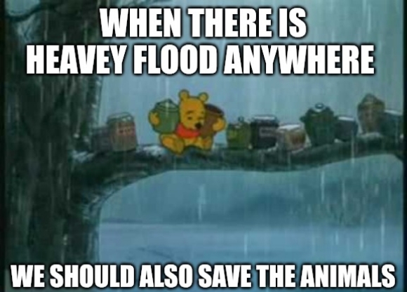 1000382585.jpg