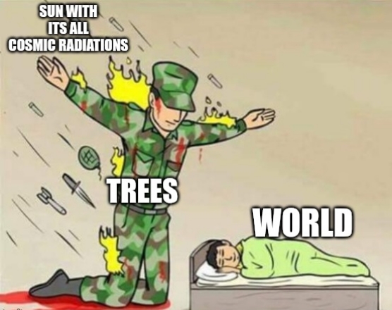 1000316225.jpg