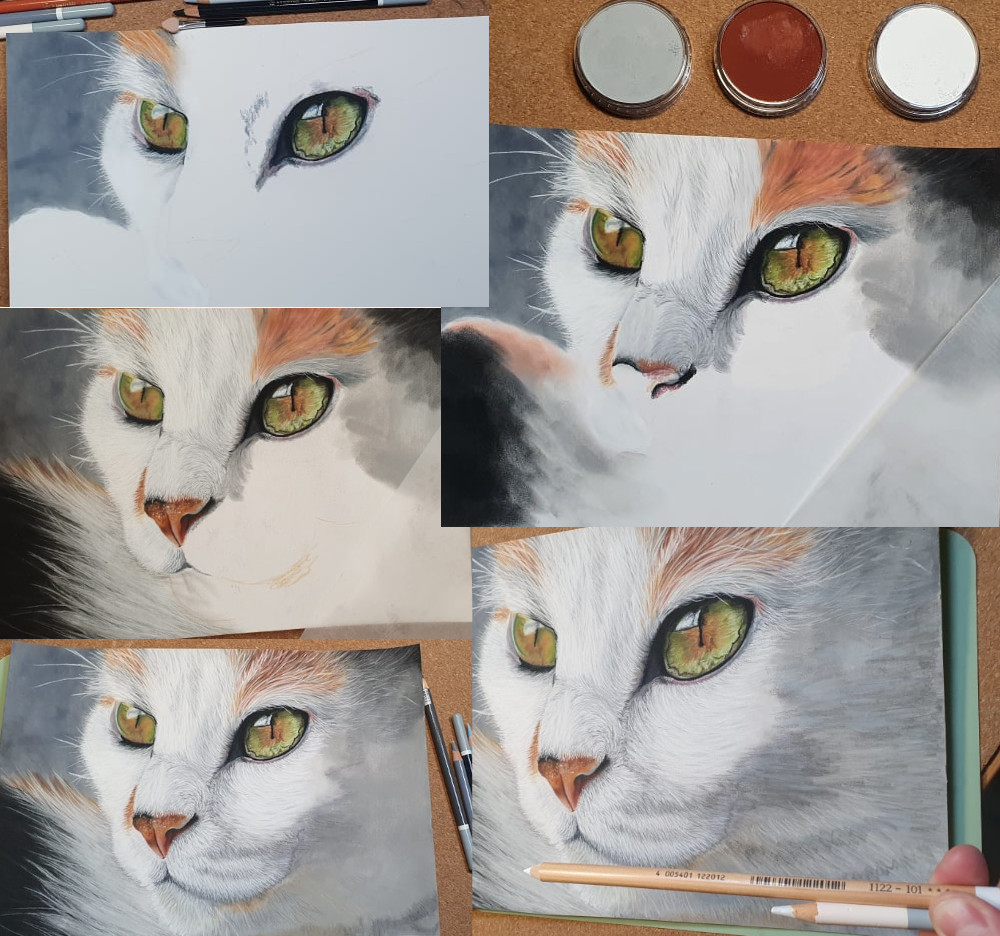 Katze Progress.jpg