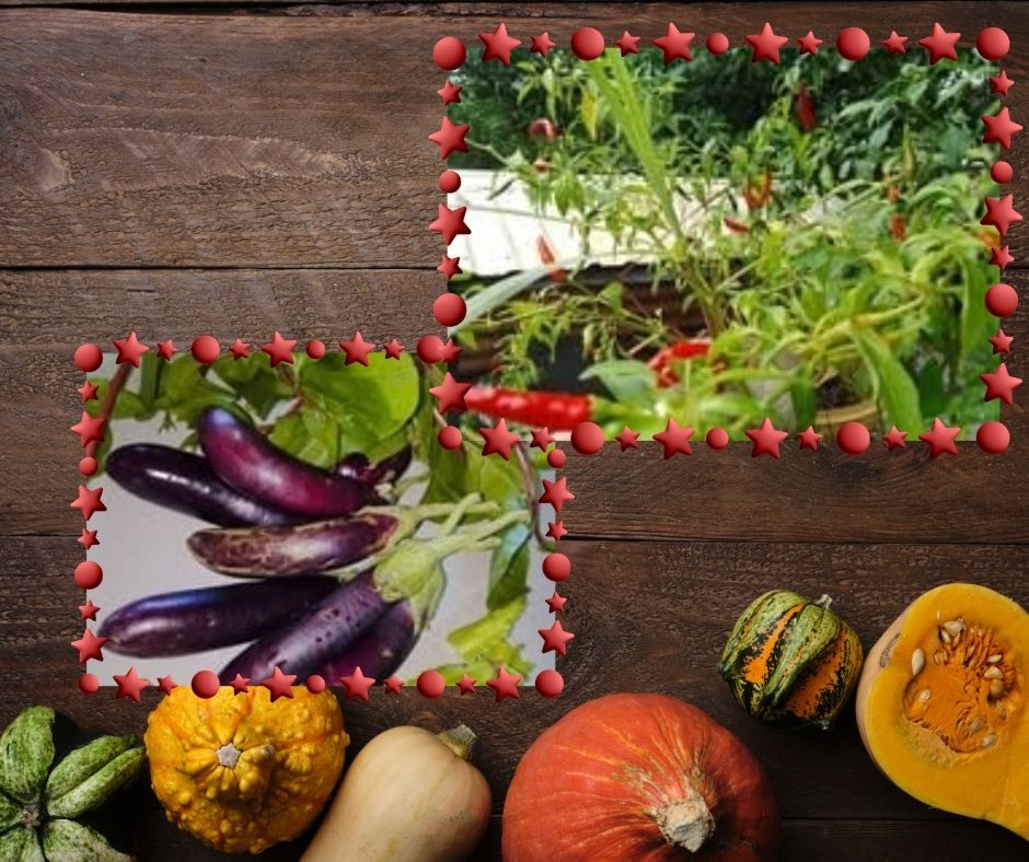 WELCOME TO MY GARDEN (4).jpg