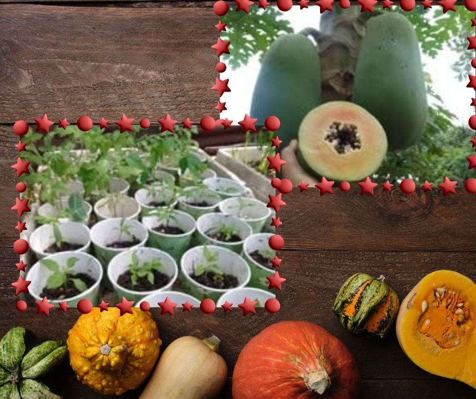 WELCOME TO MY GARDEN (5).jpg