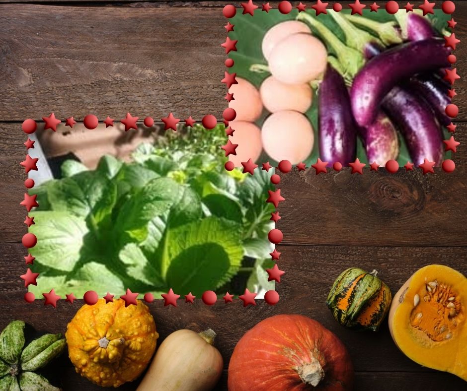 WELCOME TO MY GARDEN (2).jpg