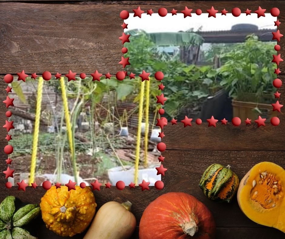 WELCOME TO MY GARDEN (6).jpg