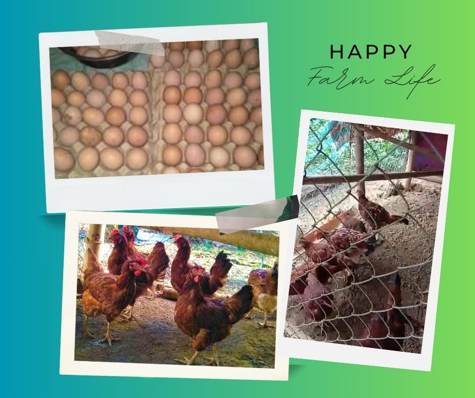 Farm Life.jpg