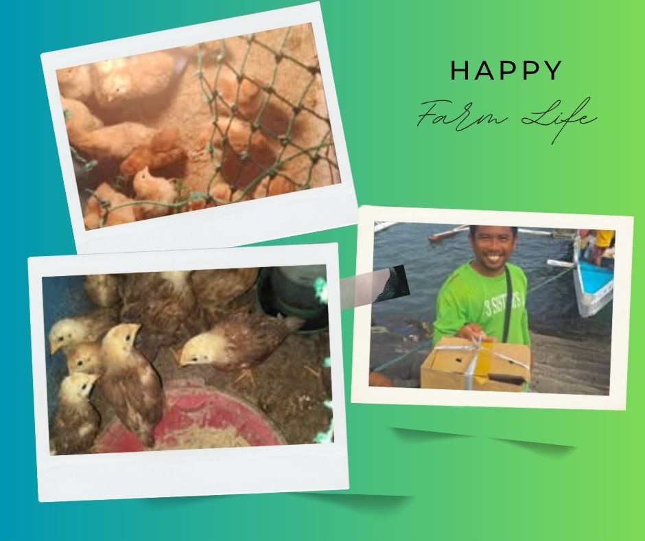 Farm Life (1).jpg