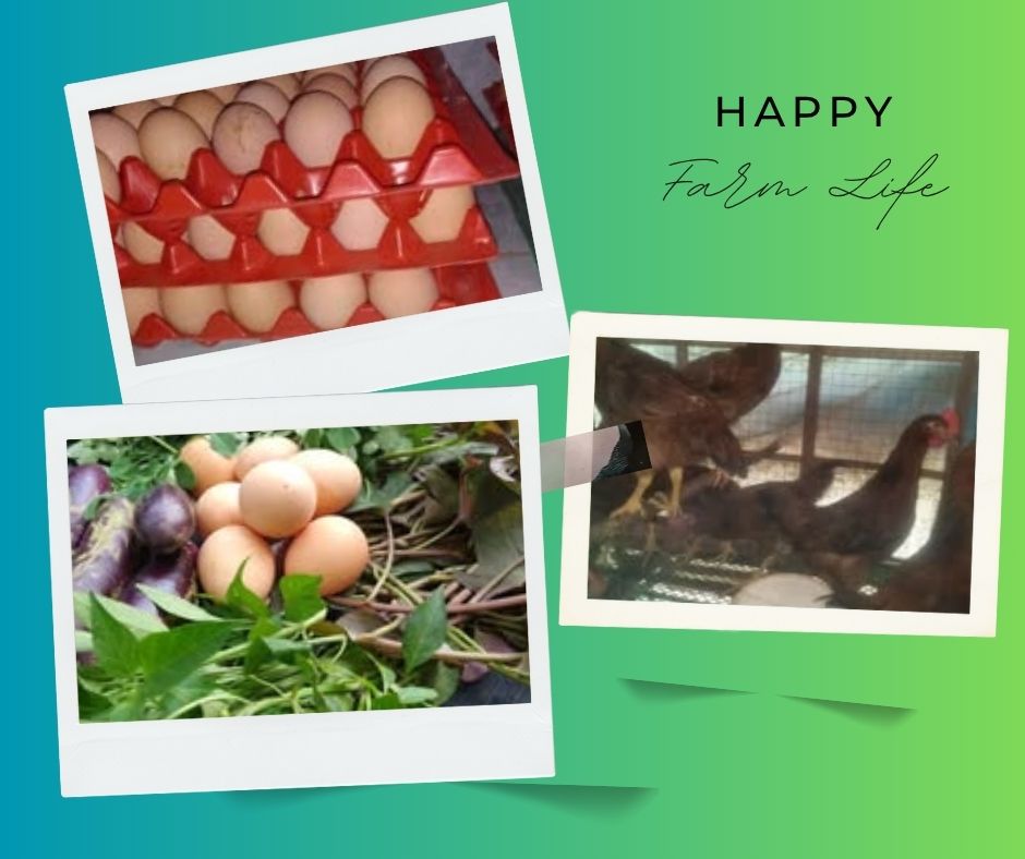 Farm Life (3).jpg