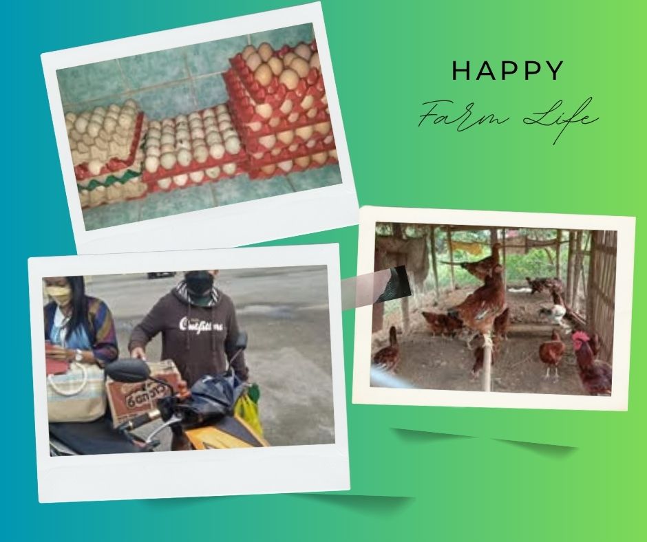 Farm Life (2).jpg