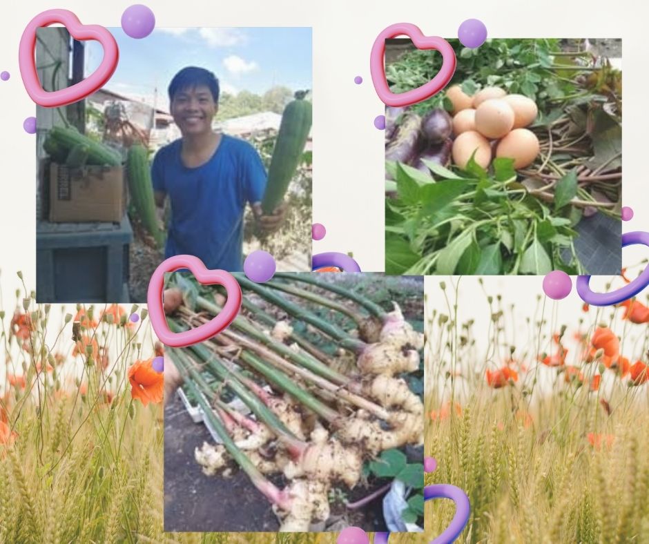 WELCOME TO MY GARDEN (1).jpg